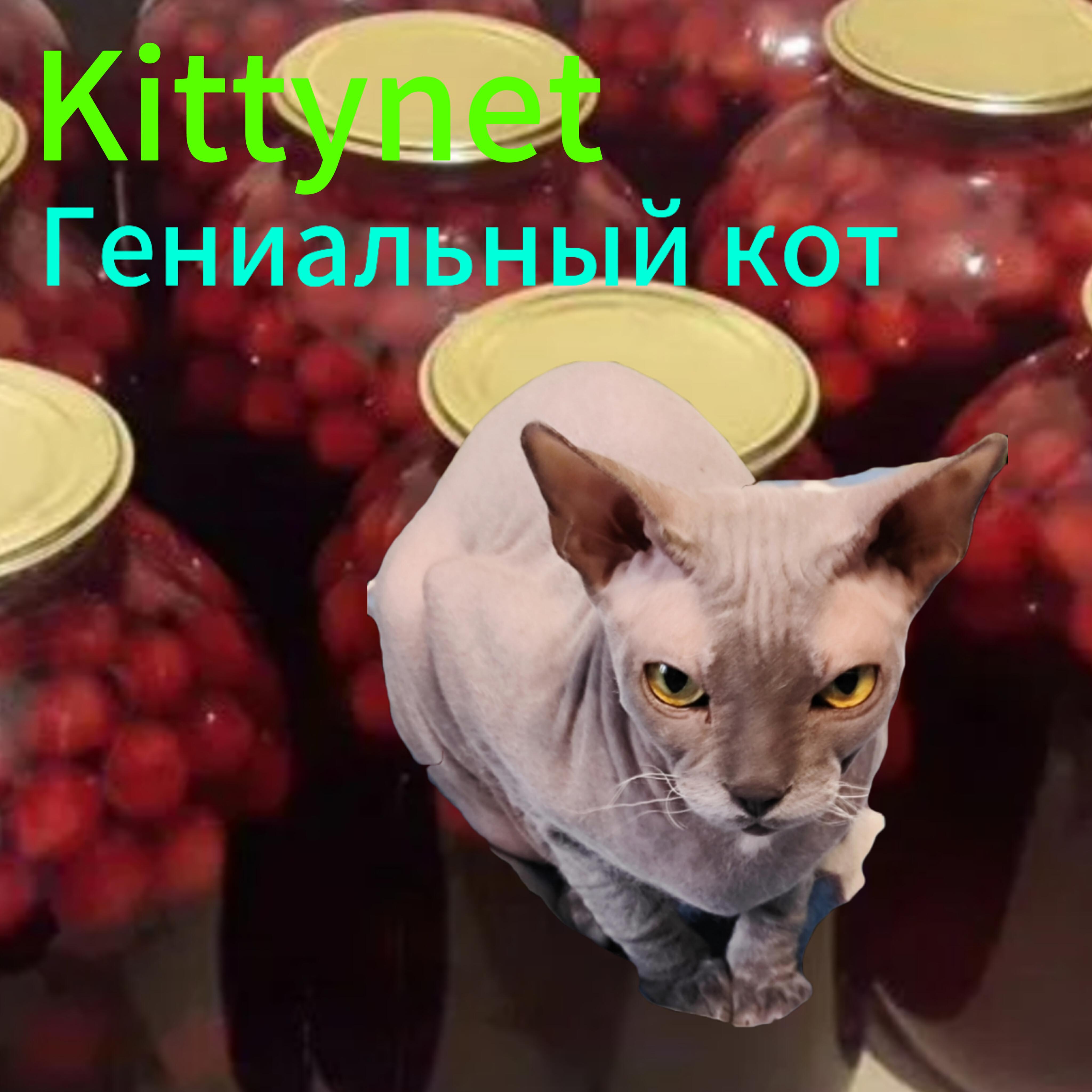 Релиз Гениальный кот