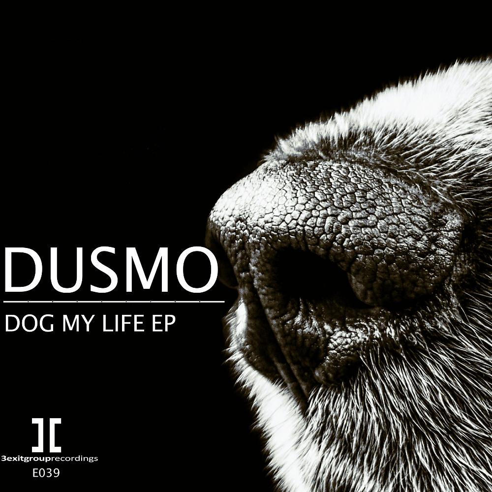 Релиз Dog My Life