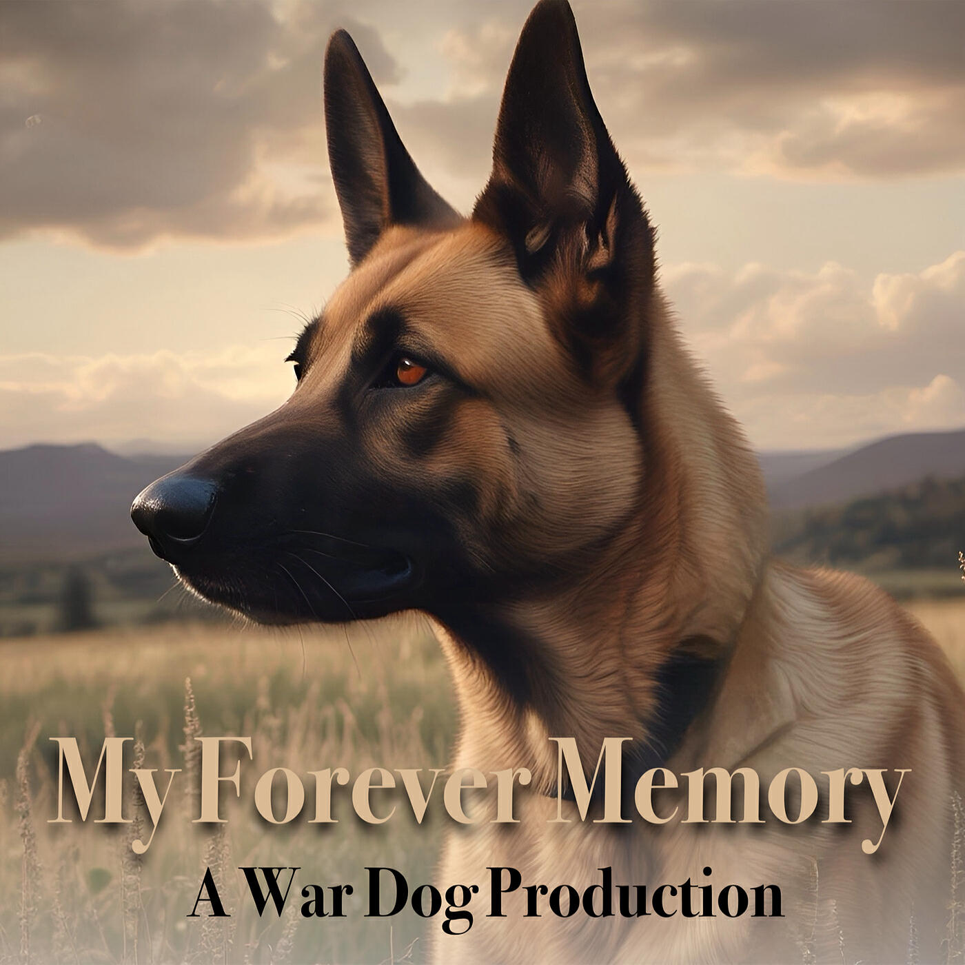Релиз My Forever Memory