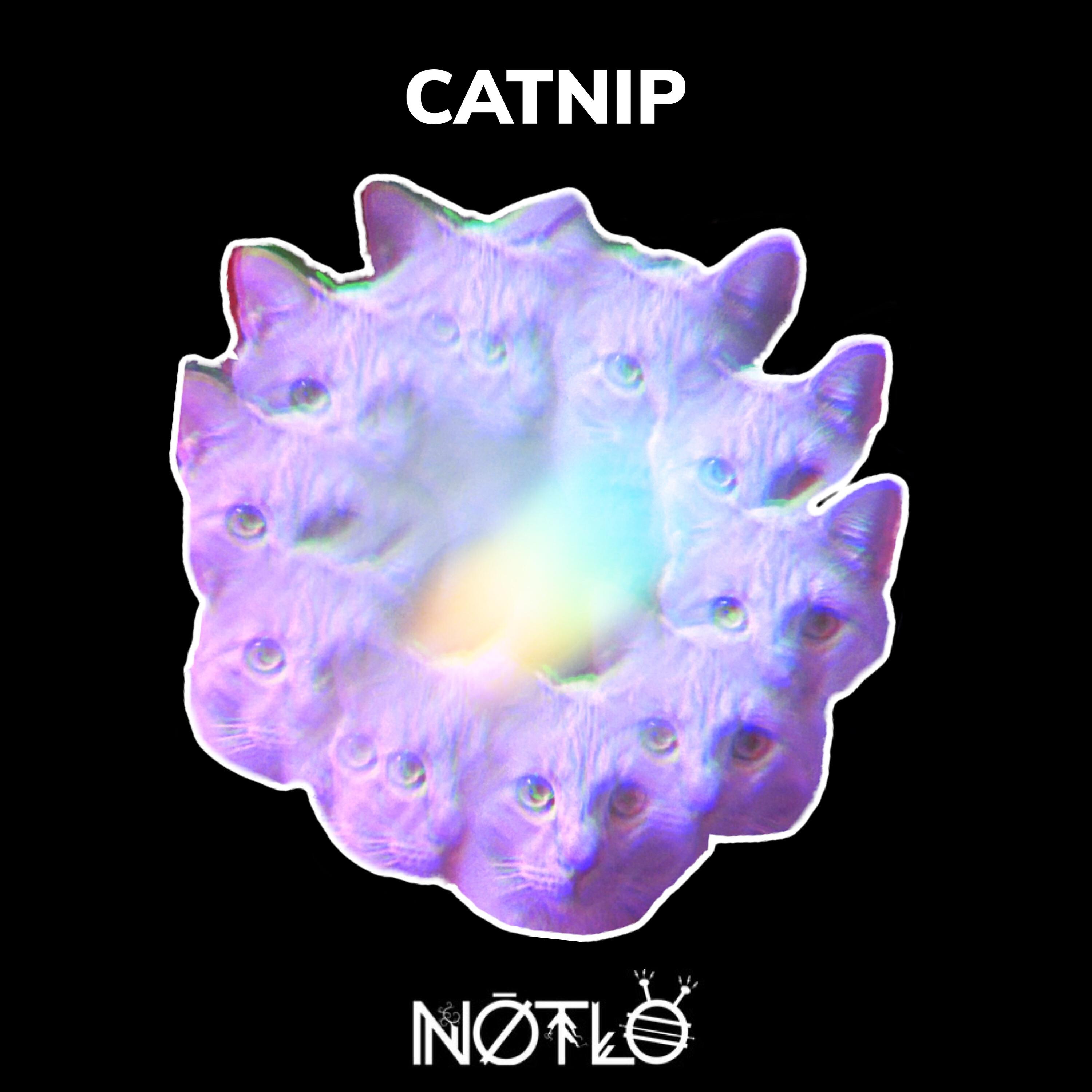 Релиз Catnip