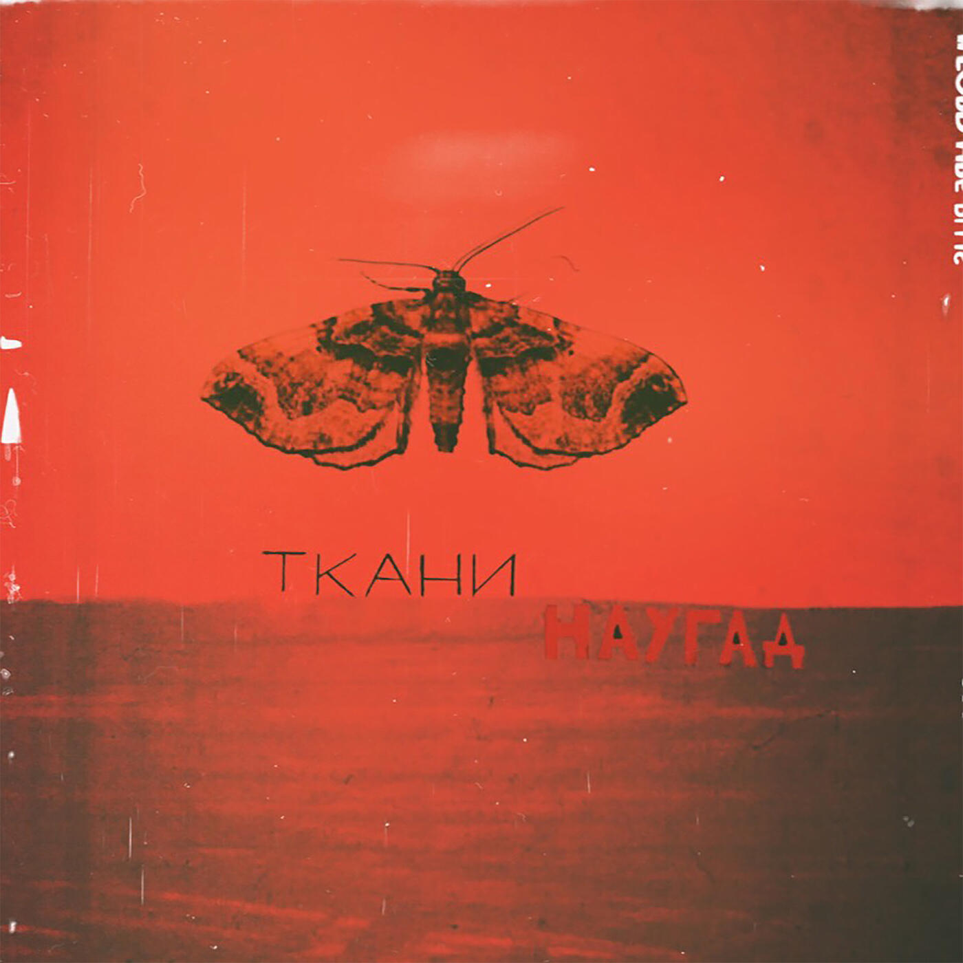 Релиз Наугад