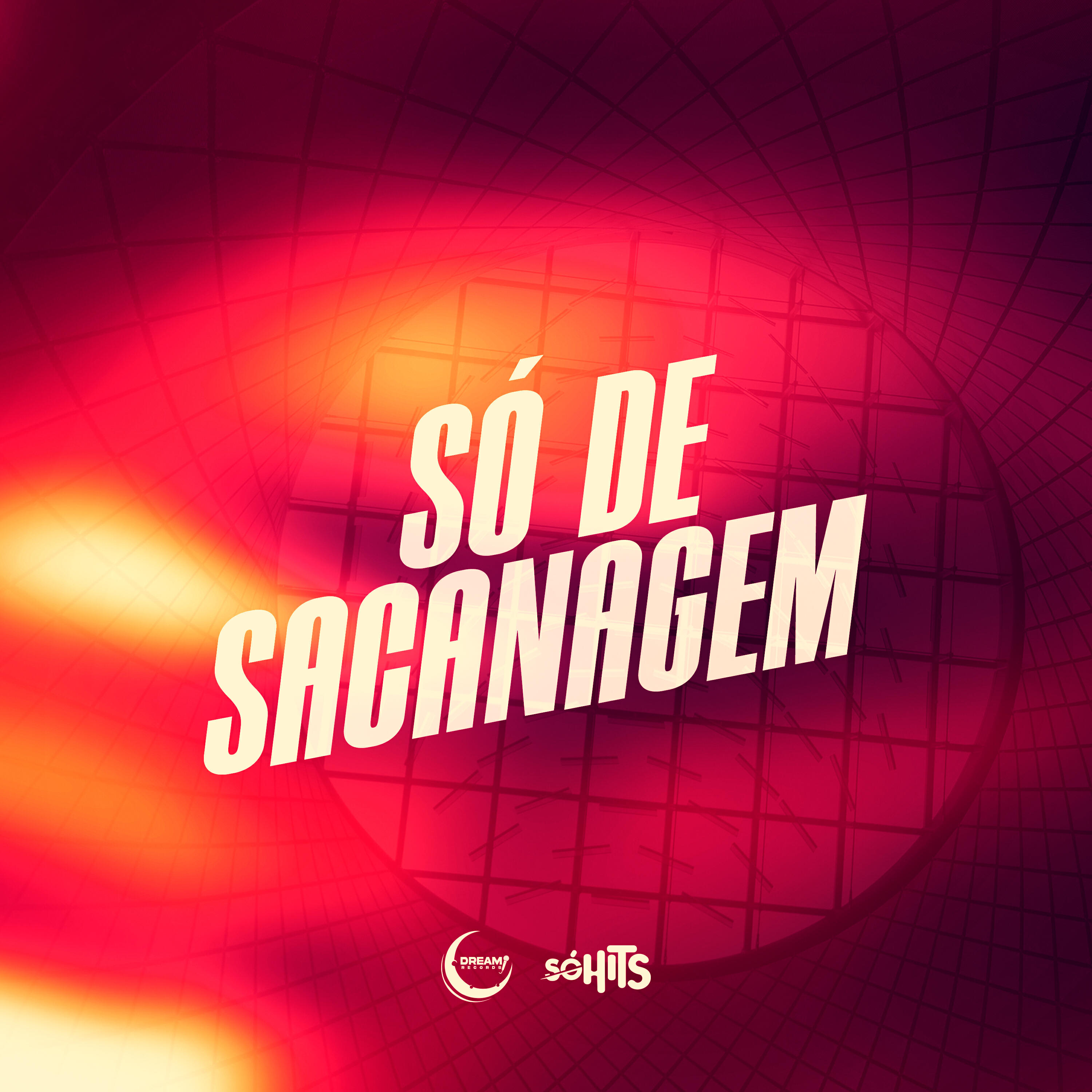 Релиз Só de Sacanagem