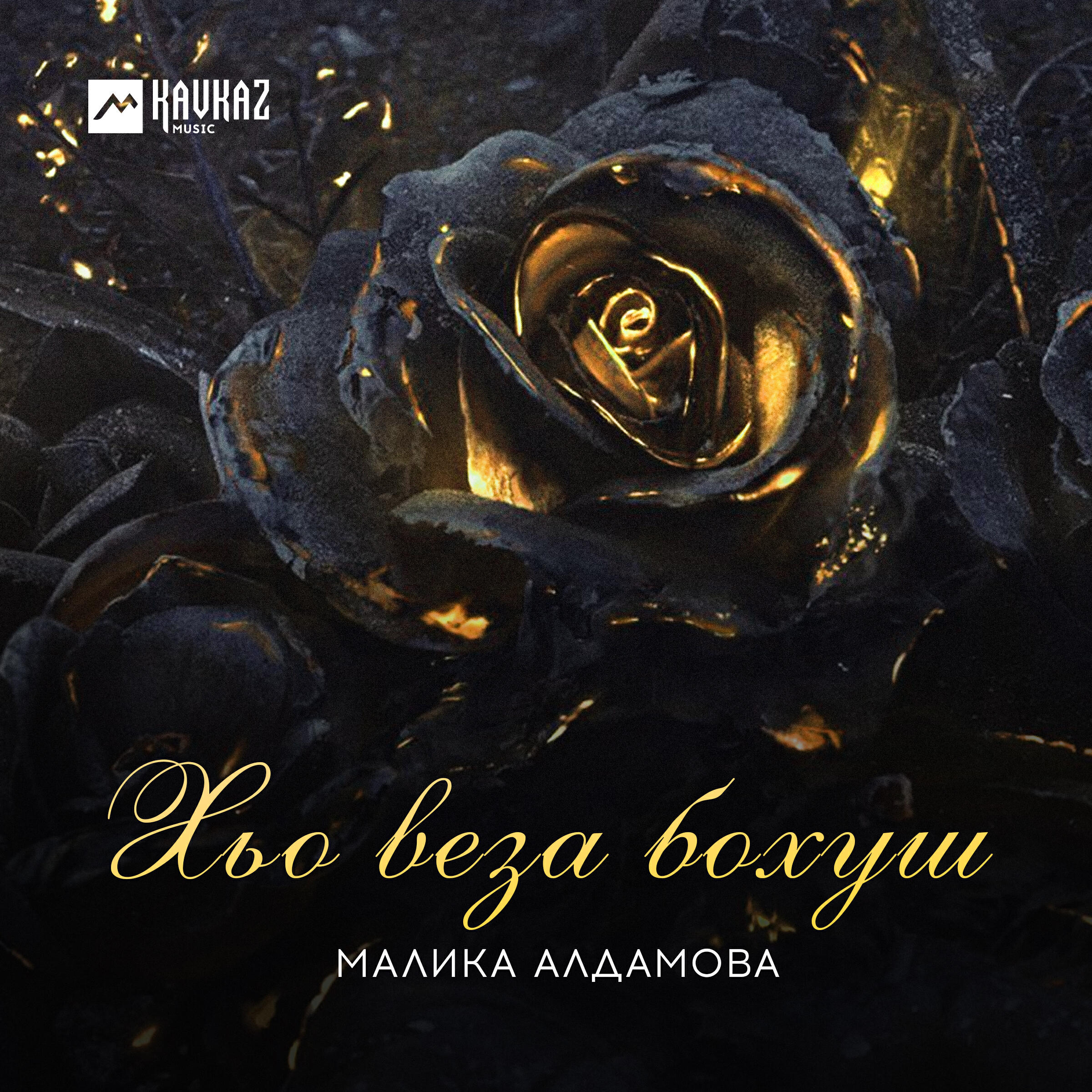 Постер альбома Хьо веза бохуш
