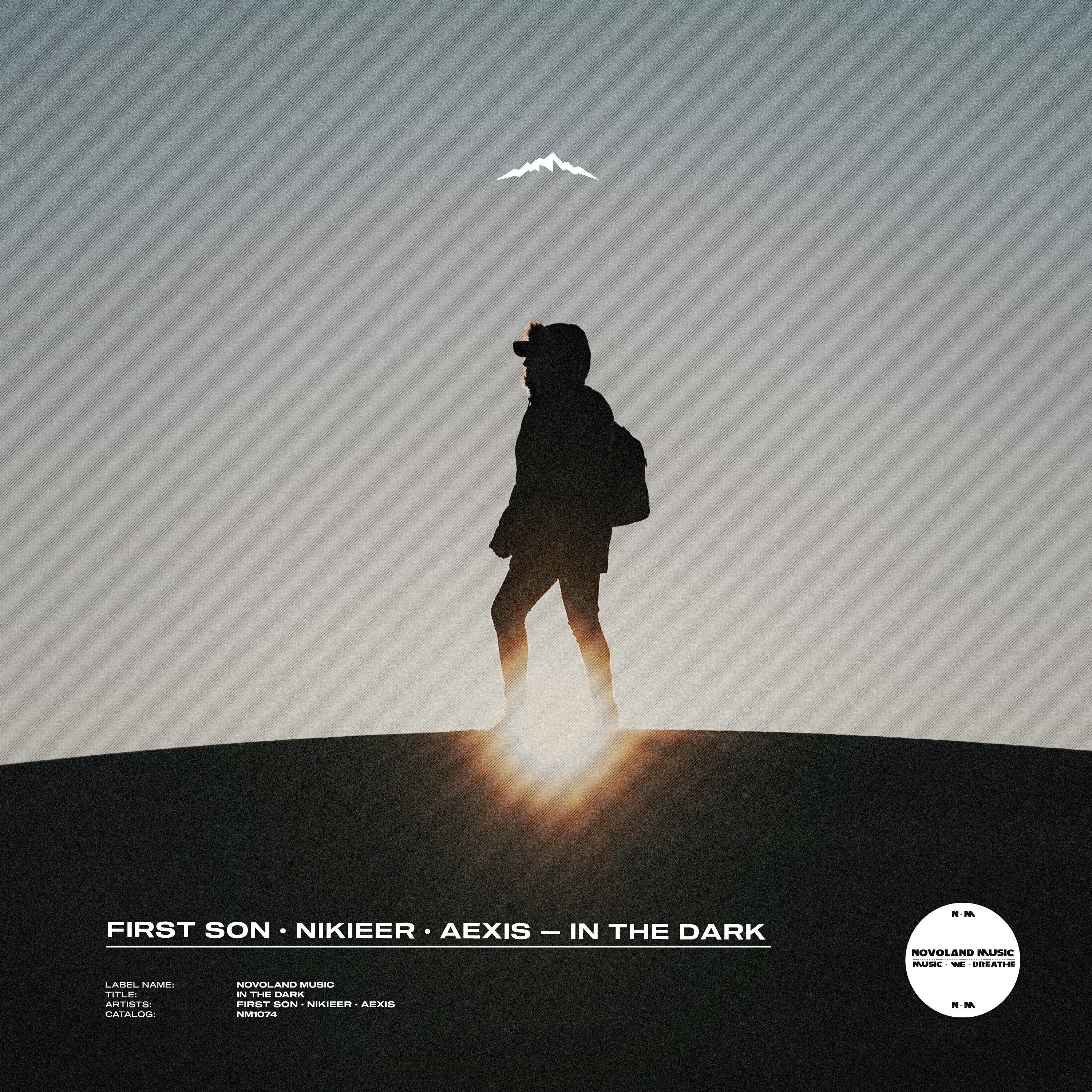Релиз In the Dark