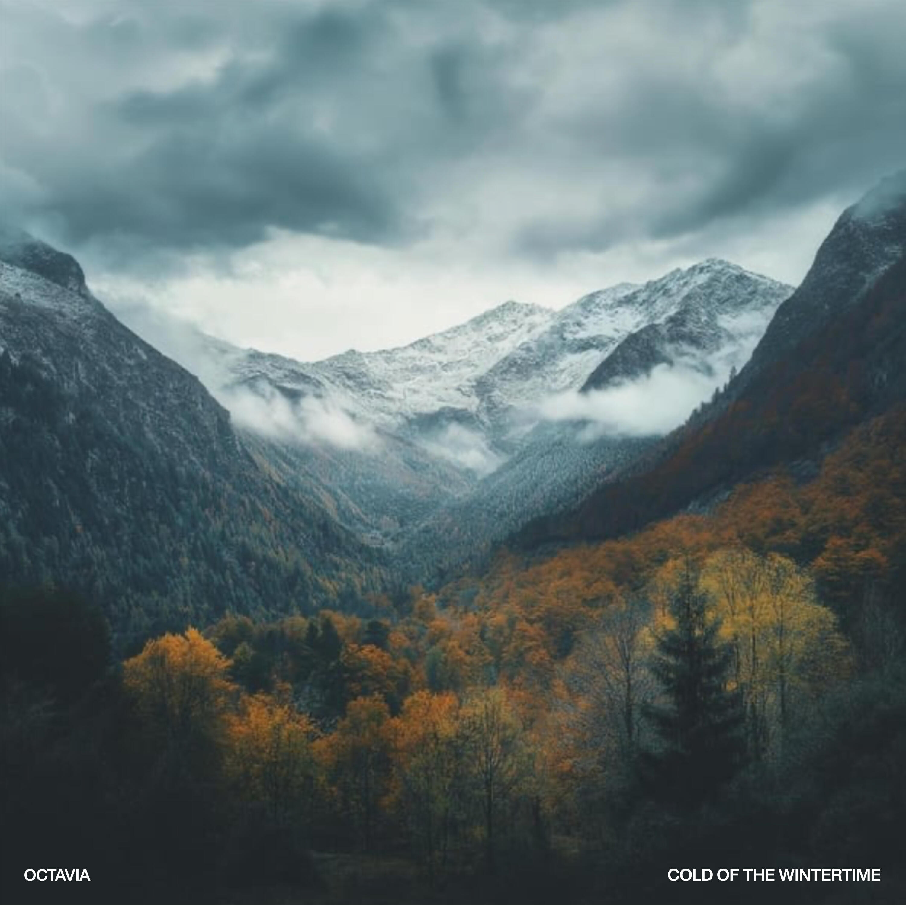 Релиз Cold of the Wintertime