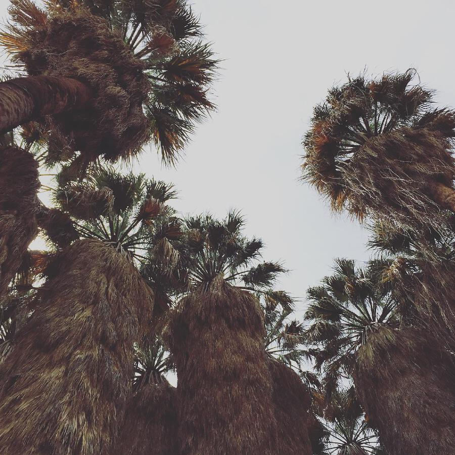 Волна по релизу