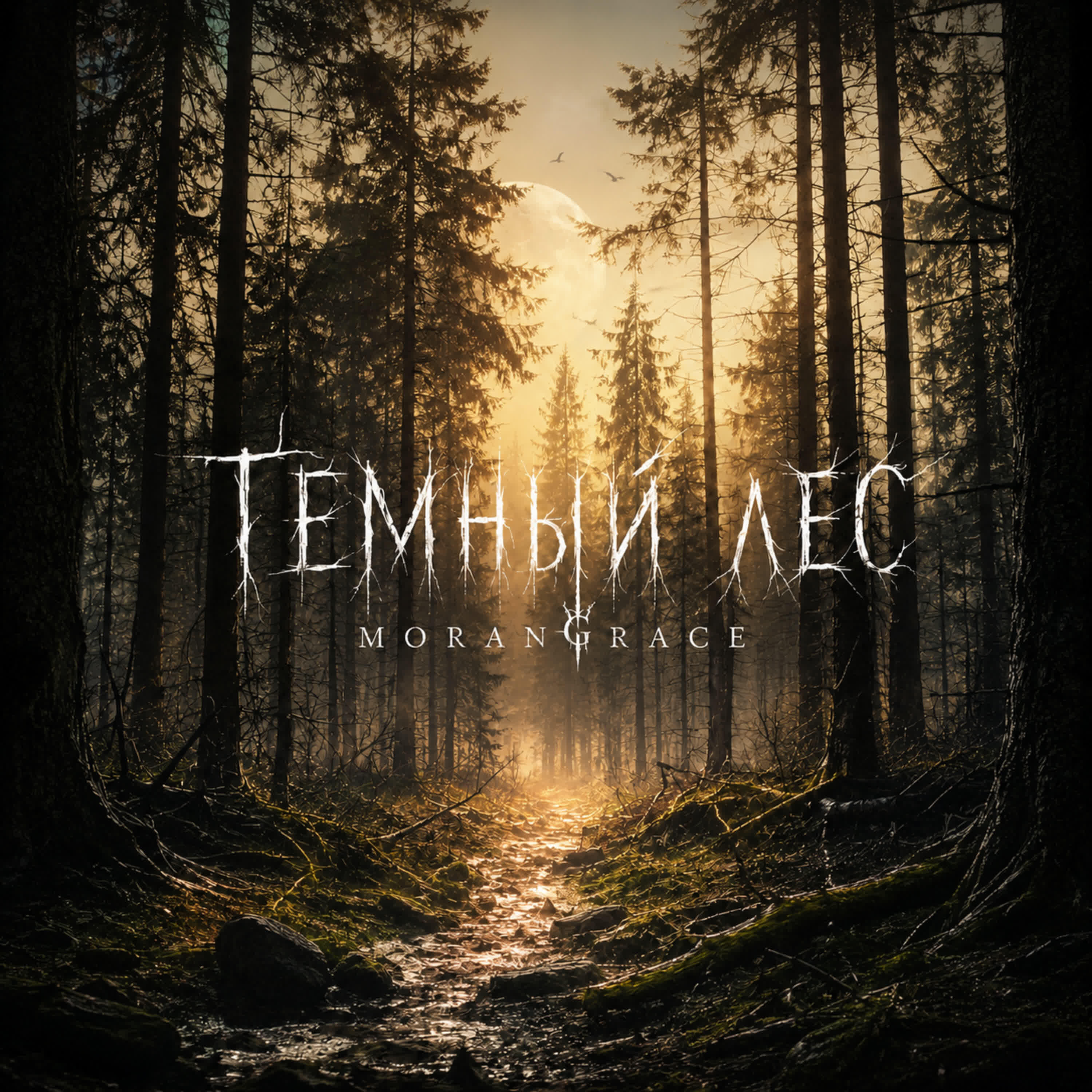 Релиз Темный Лес