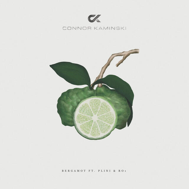 Релиз Bergamot