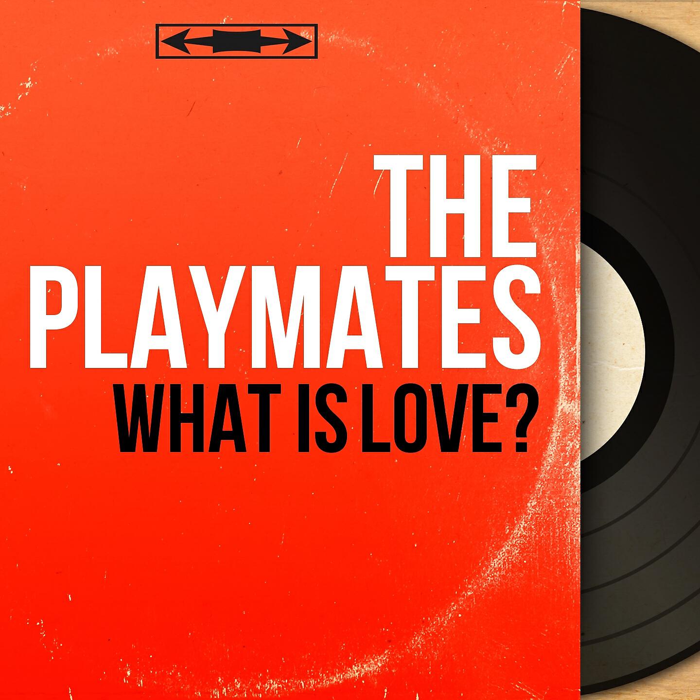 Релиз What Is Love?