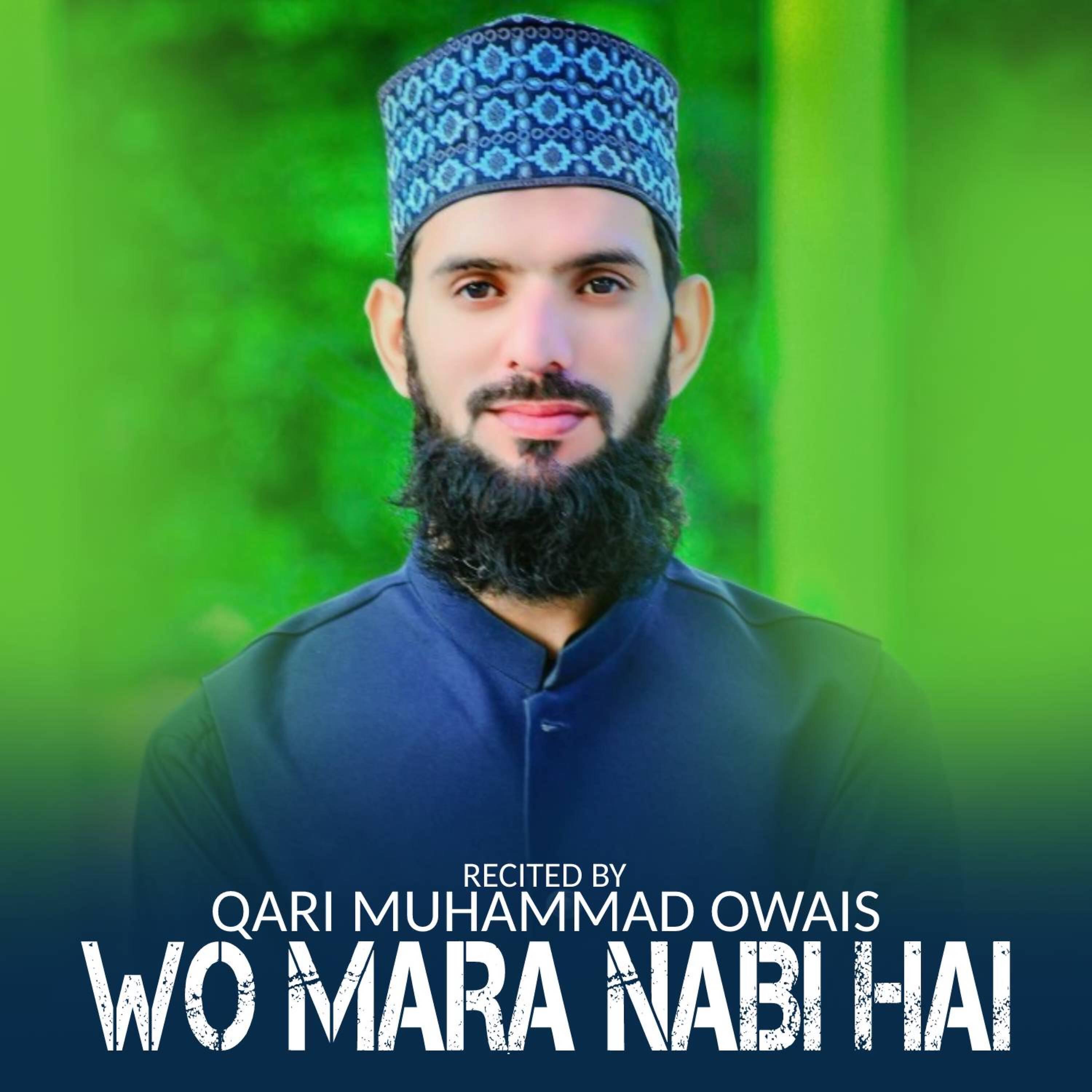 Релиз WO MARA NABI HAI