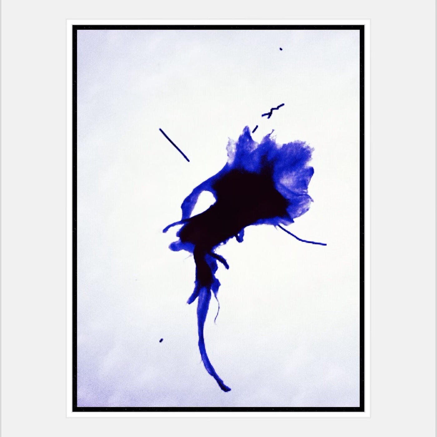 Релиз Purple Punch K.O.