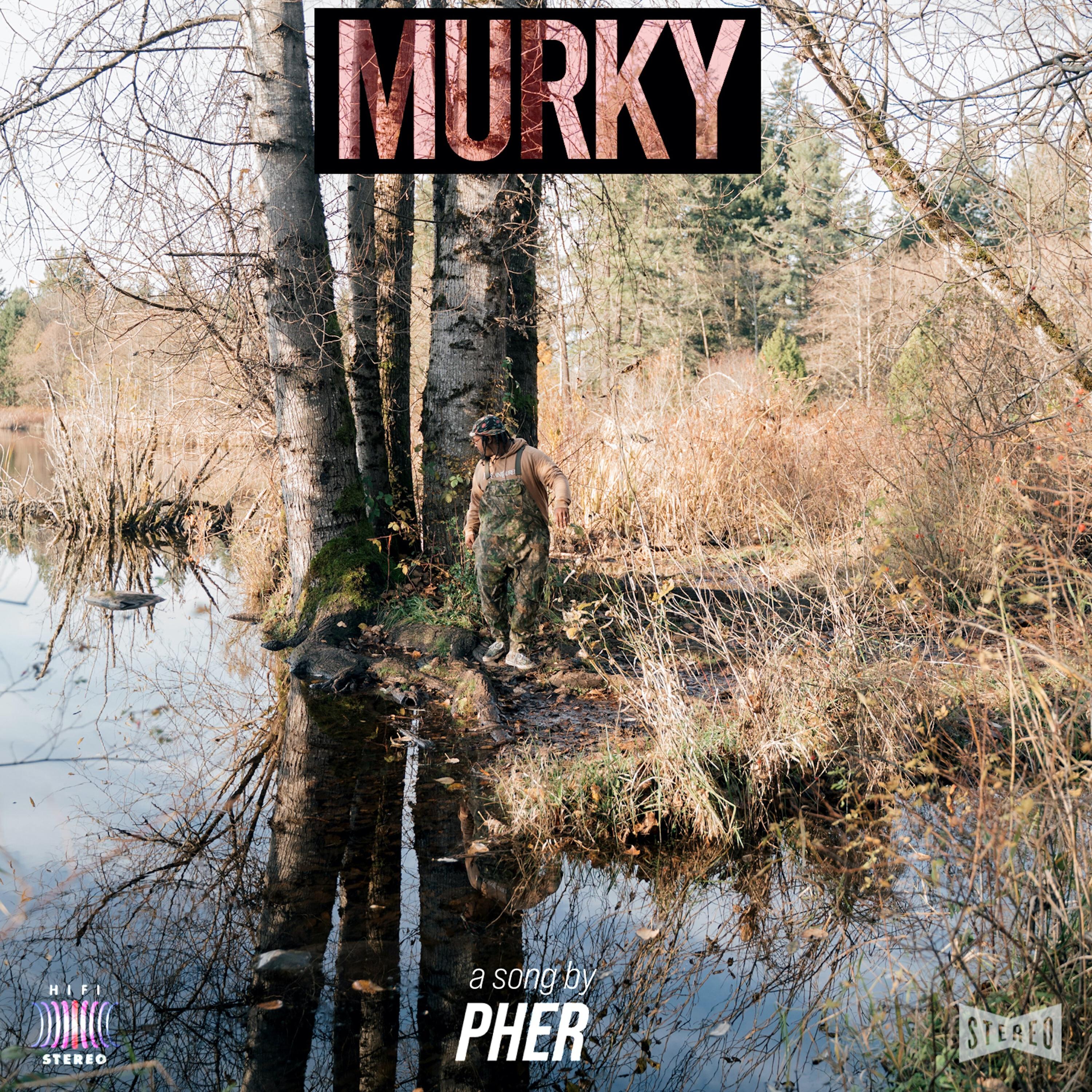 Релиз Murky