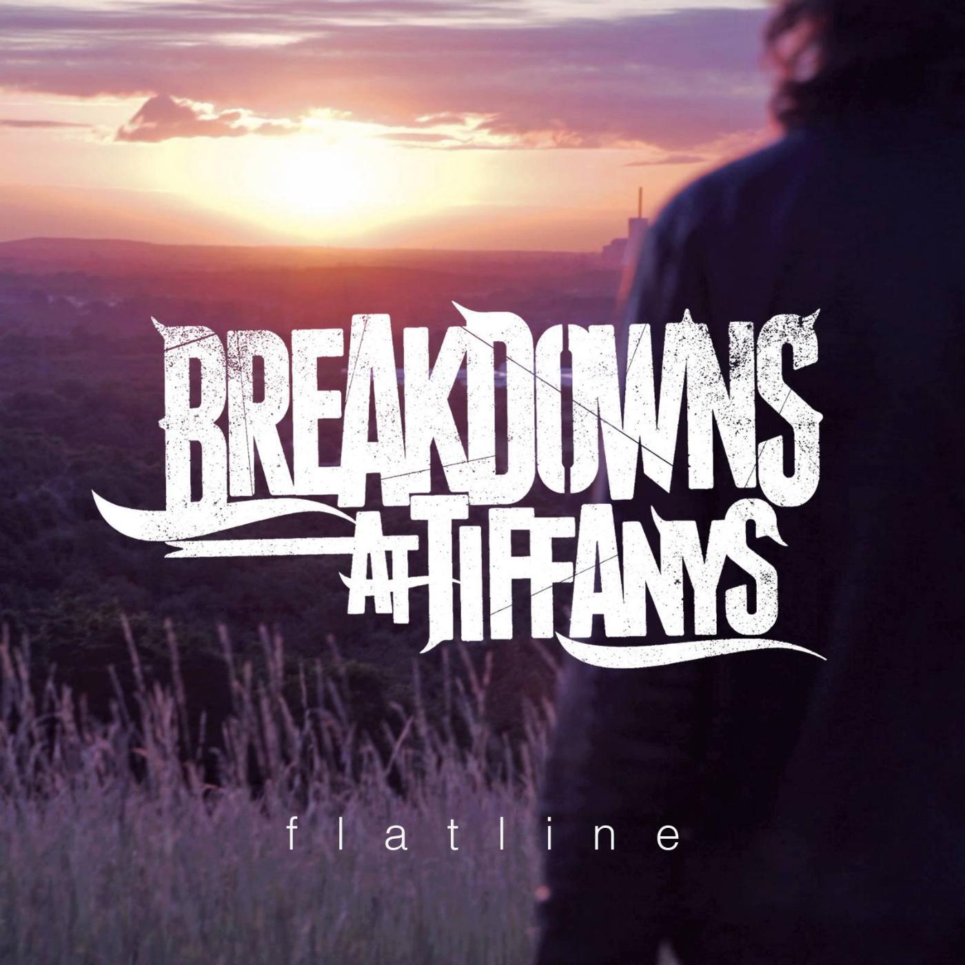 Постер альбома Flatline