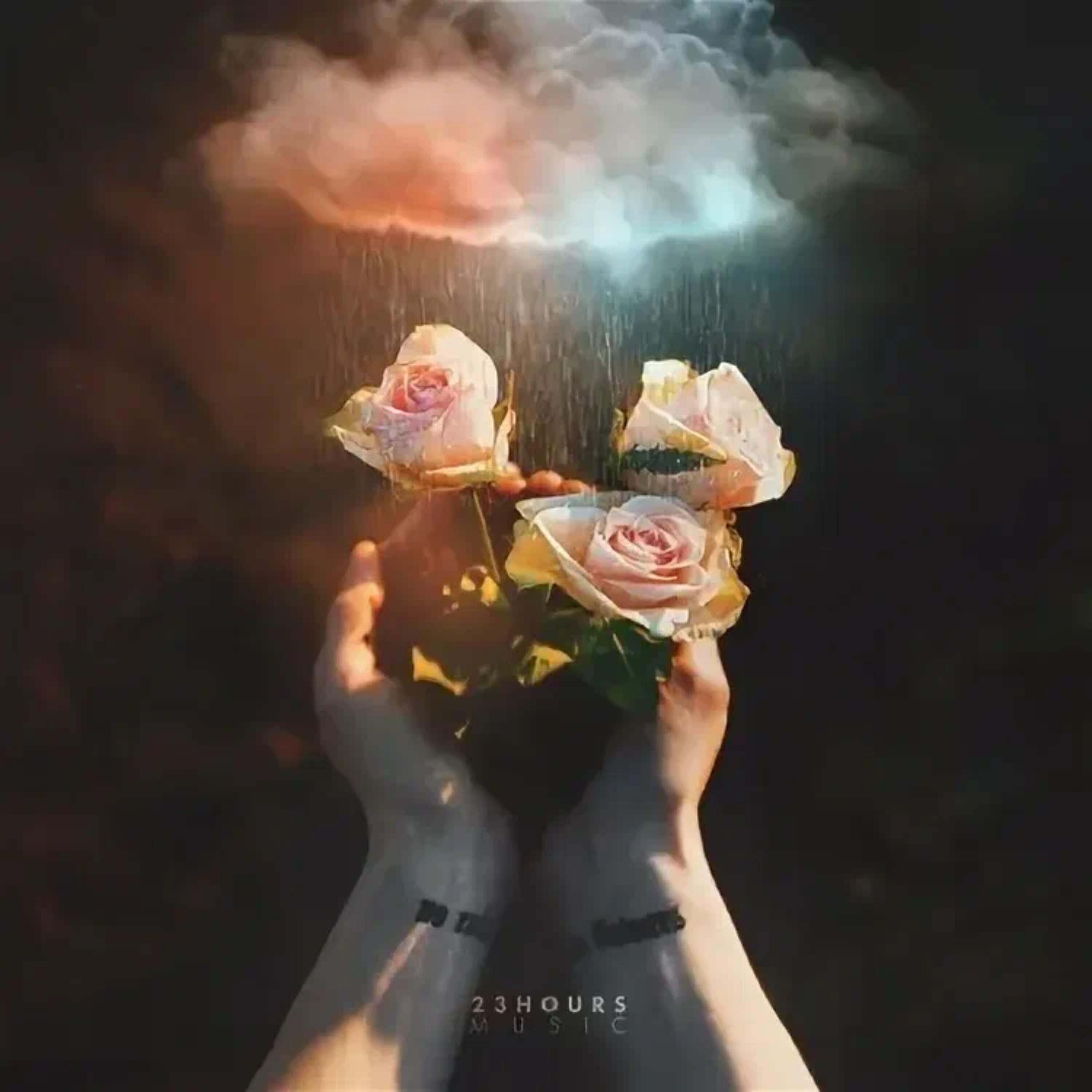 Релиз NO RAIN NO FLOWERS