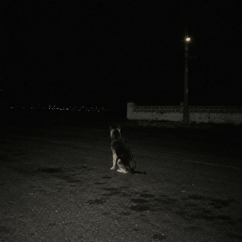Релиз haze