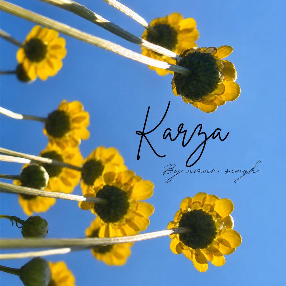 Релиз Karza