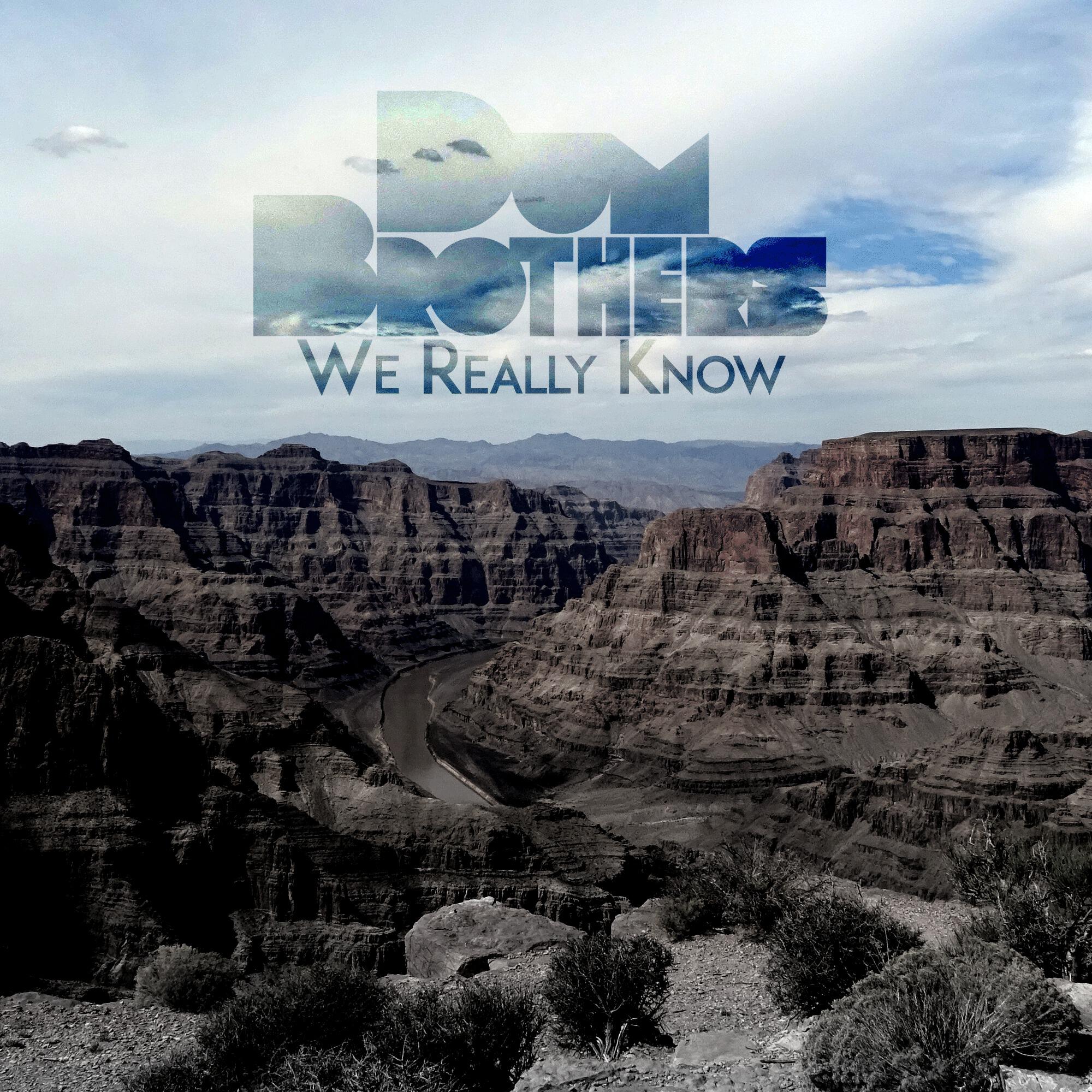 Релиз We Really Know