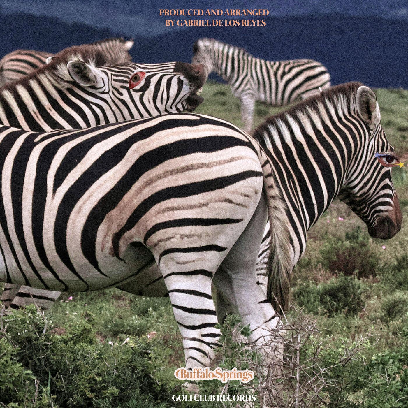 Релиз Buffalo Springs (Interlude)