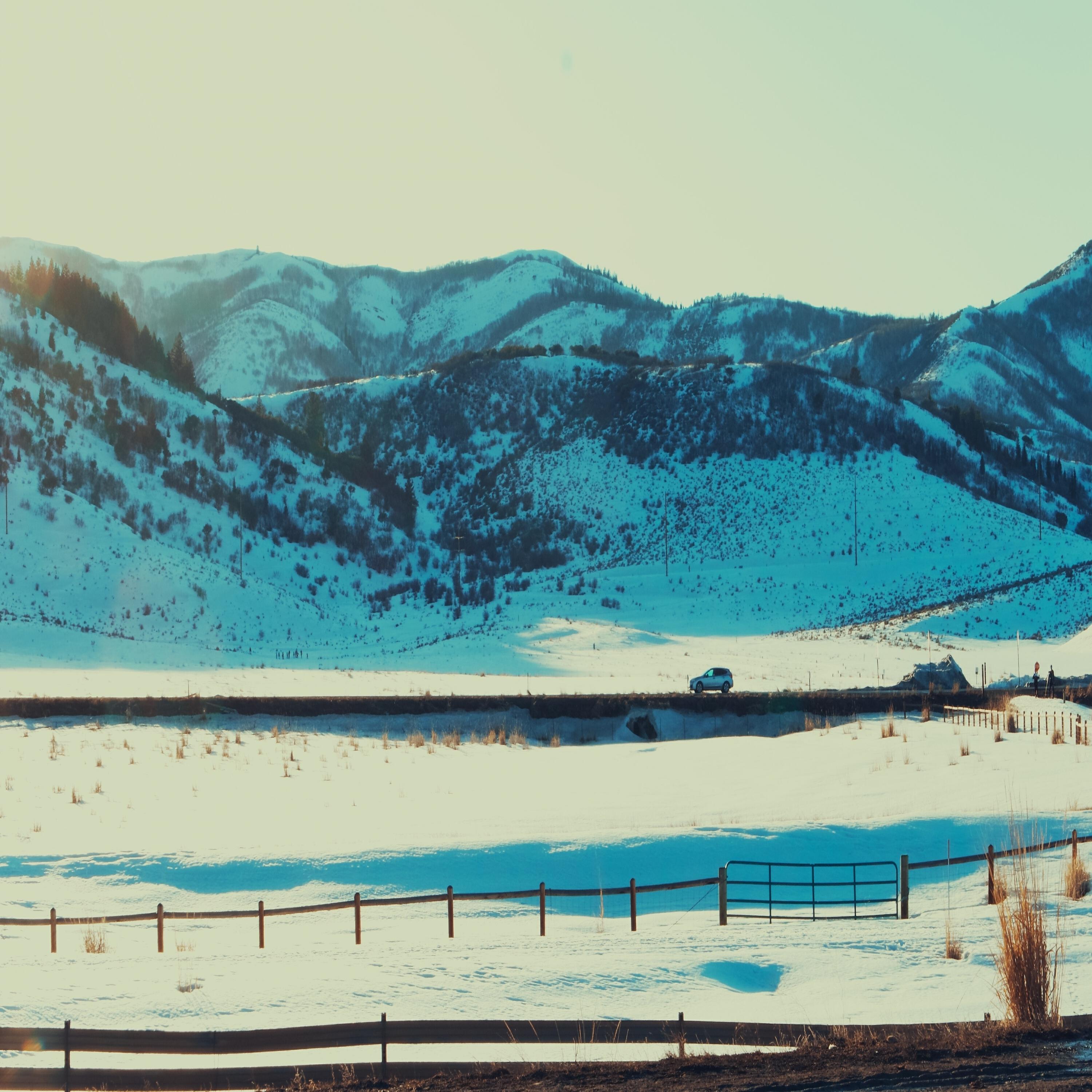 Релиз 100 Mile Wilderness