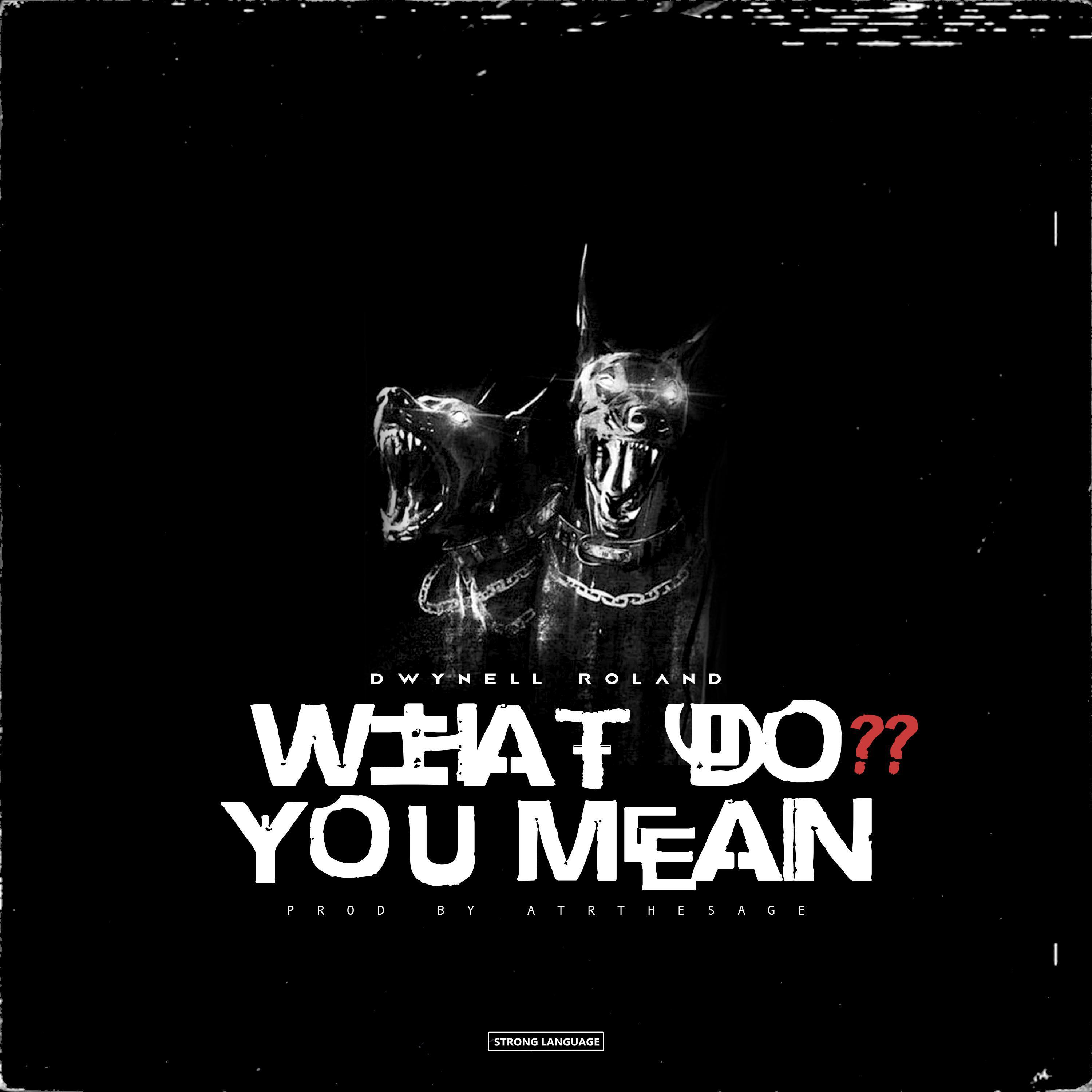 Релиз What Do You Mean