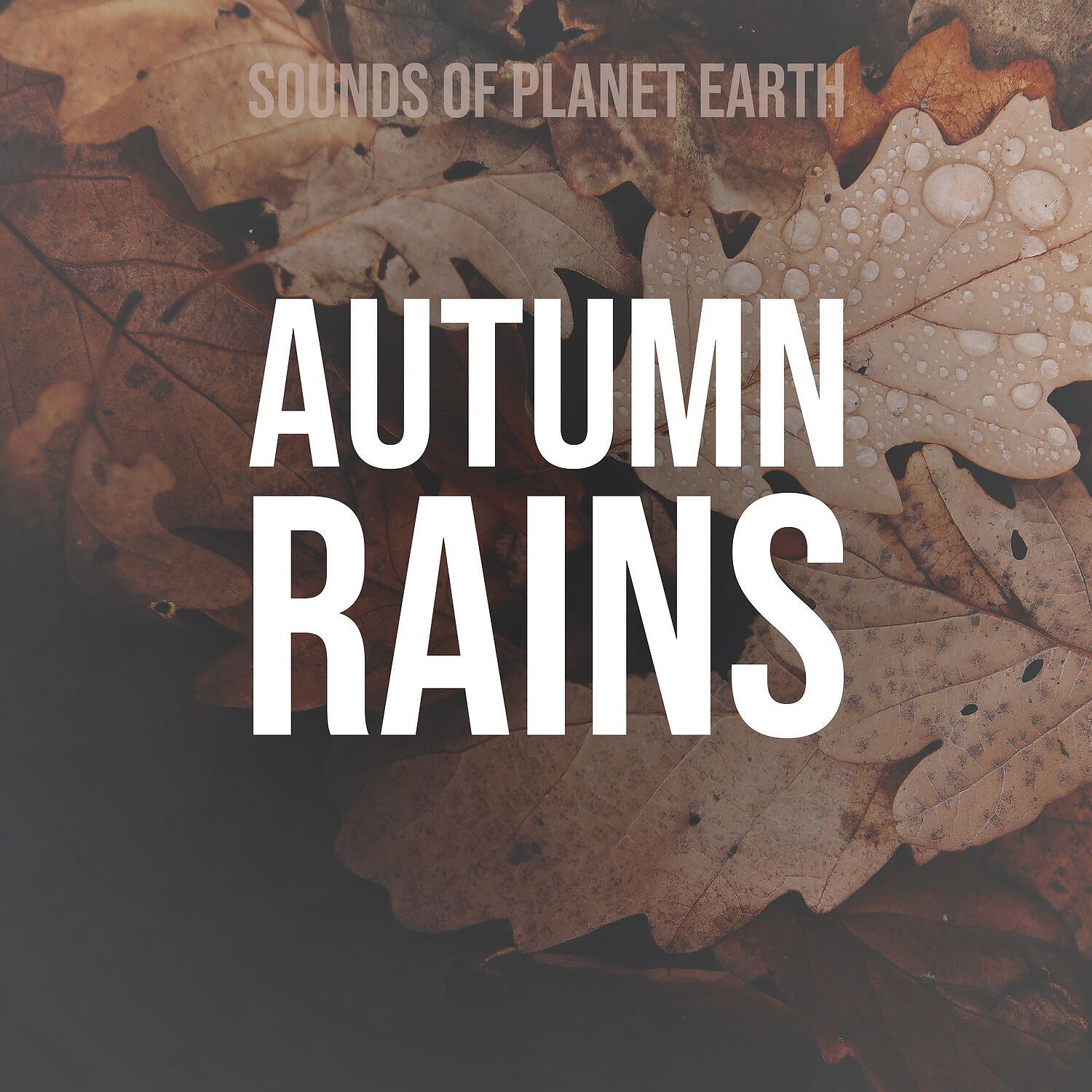 Релиз Autumn Rains