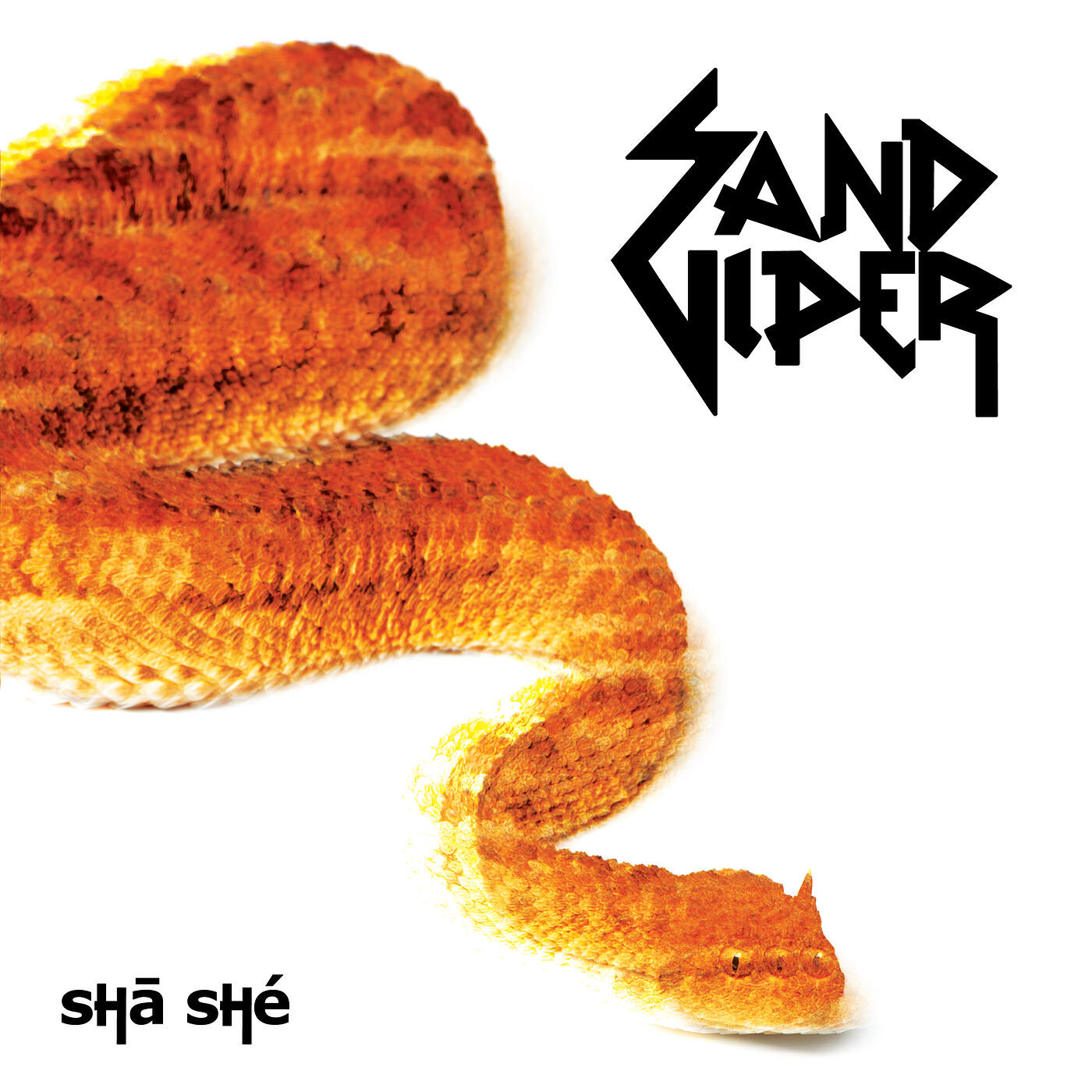 Sand Viper