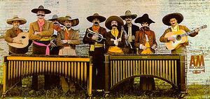 The Baja Marimba Band