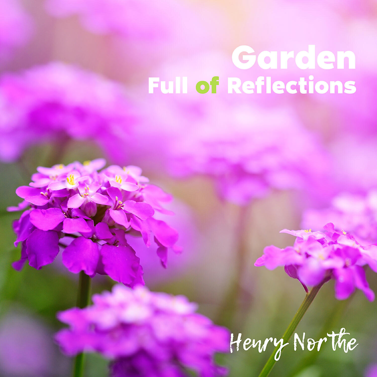 Релиз Garden Full of Reflections