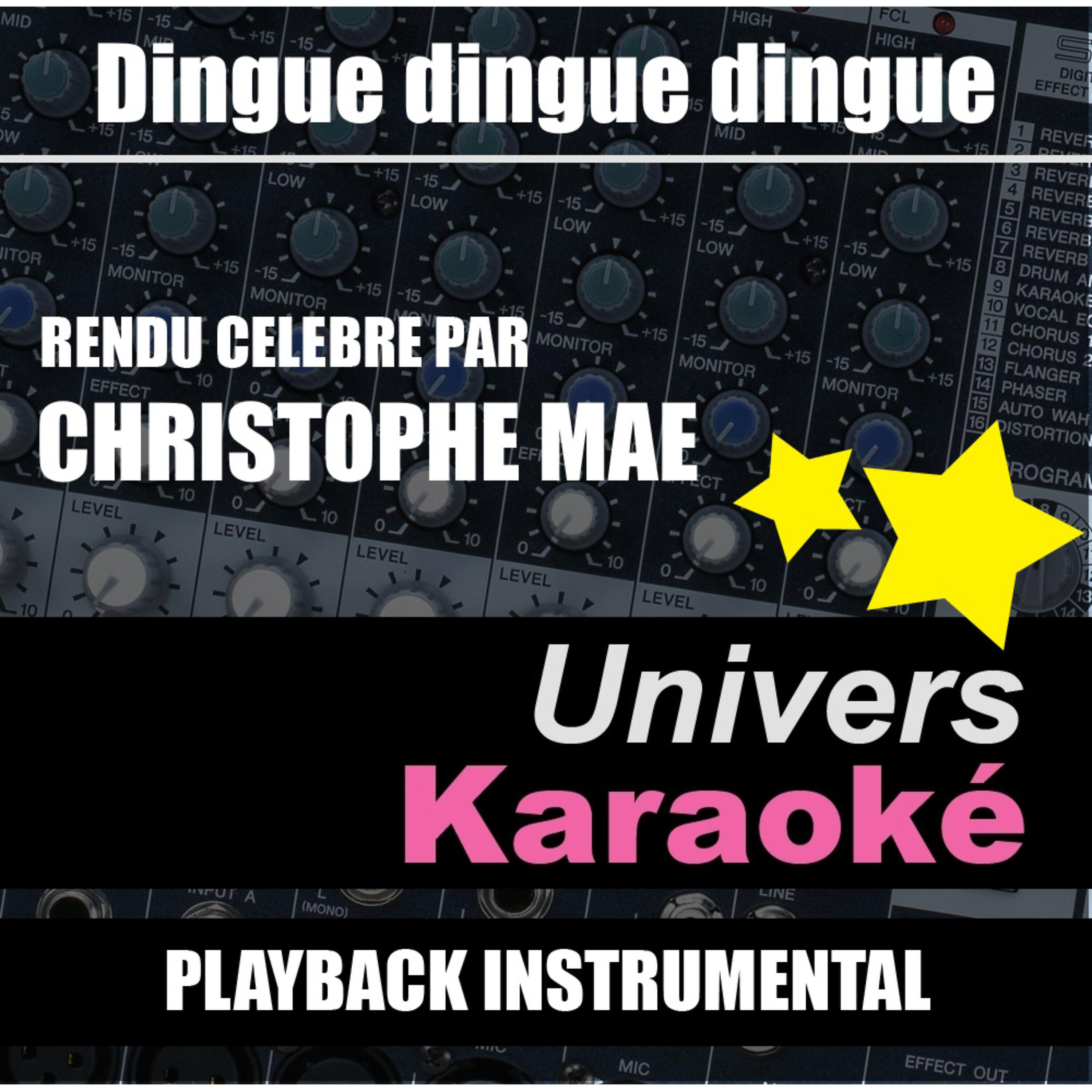 Релиз Dingue dingue dingue (Rendu célèbre par Christophe Maé) [Version karaoké] - Single