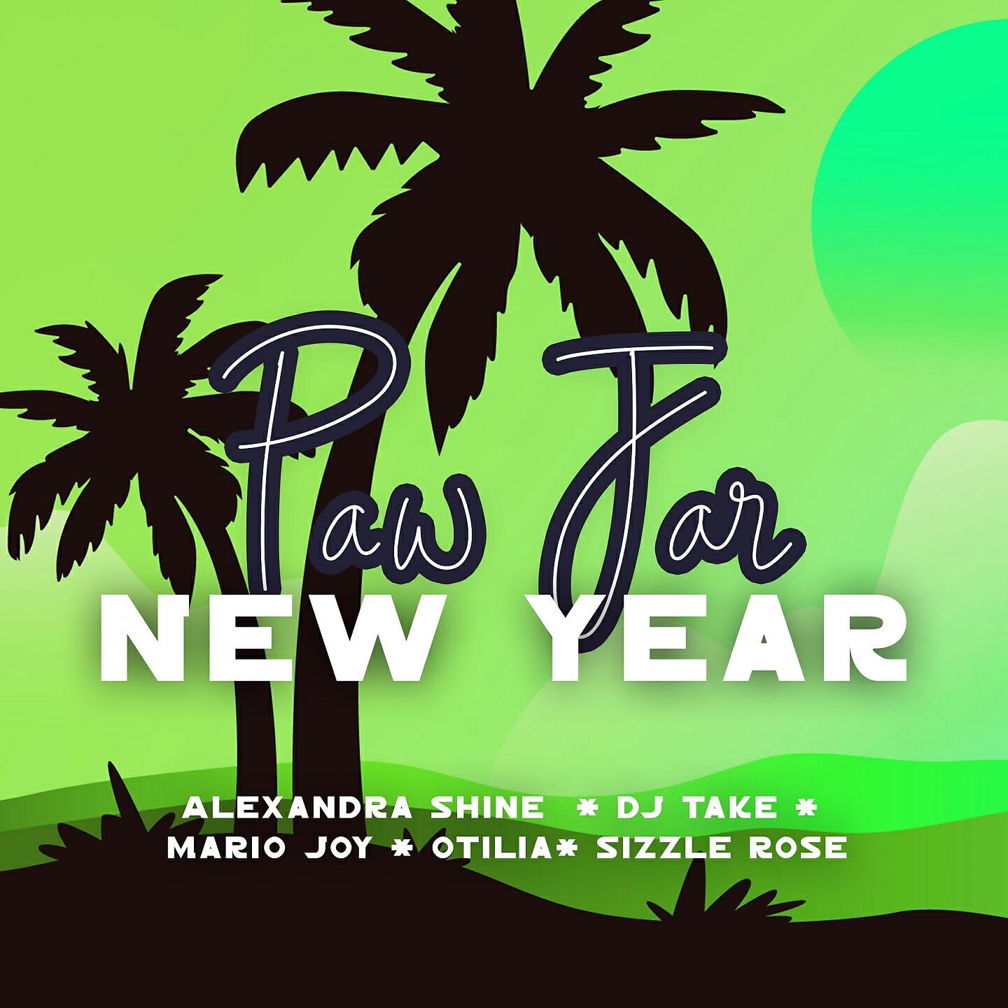 Постер альбома New Year