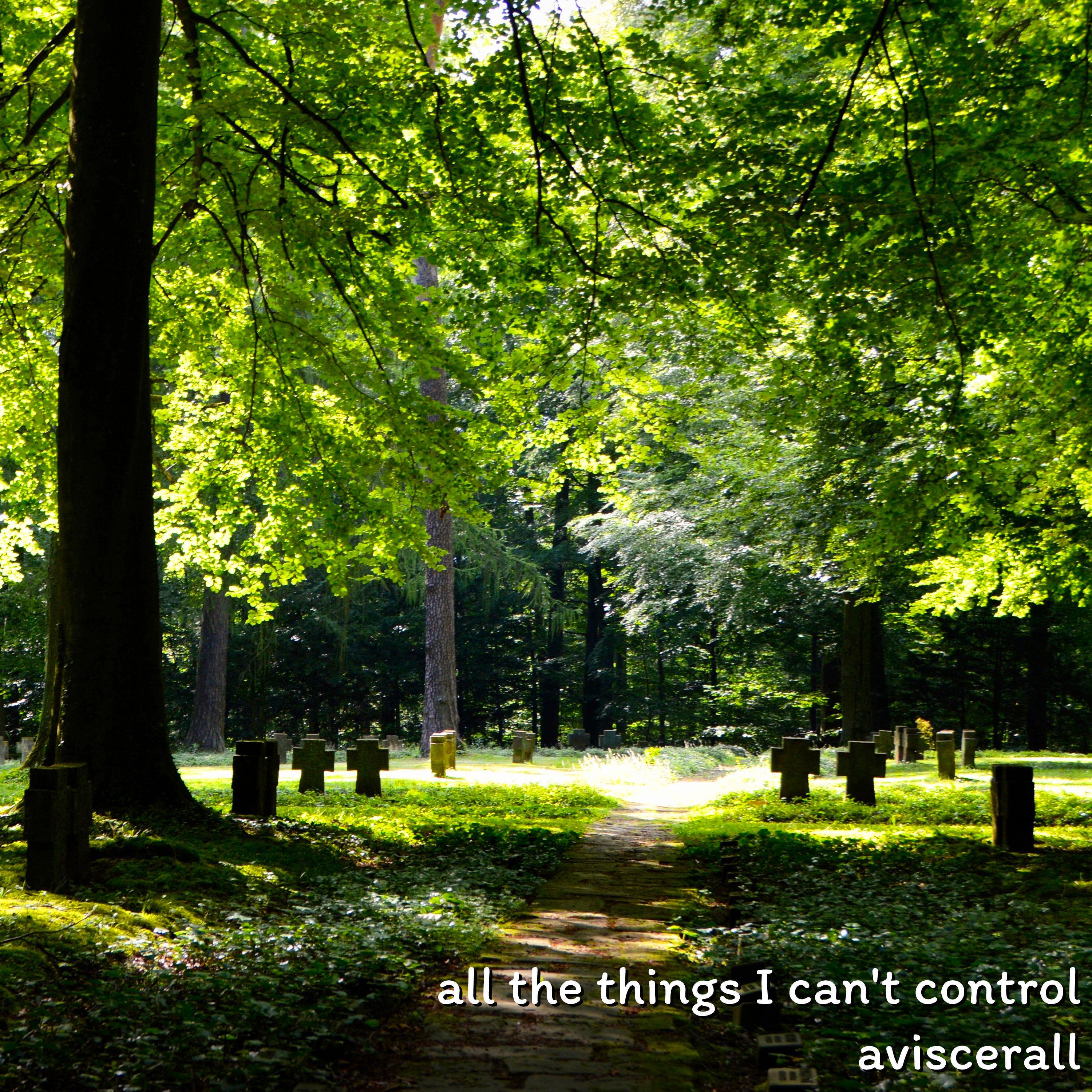 Релиз all the things I can't control