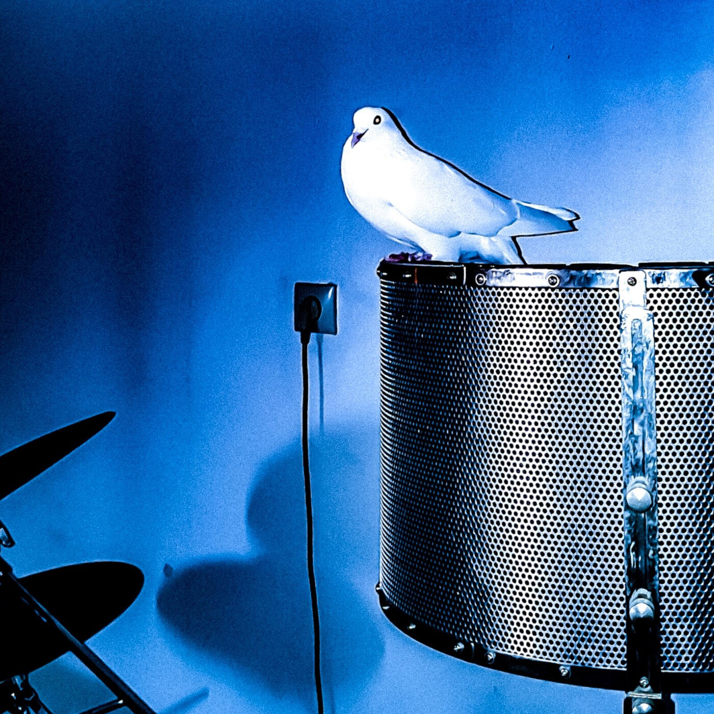 Релиз Blue Ceiling
