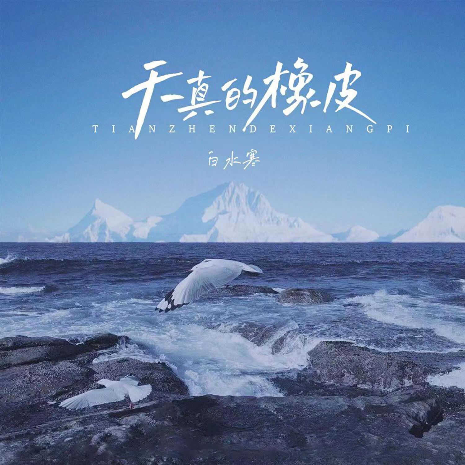 Релиз 天真的橡皮