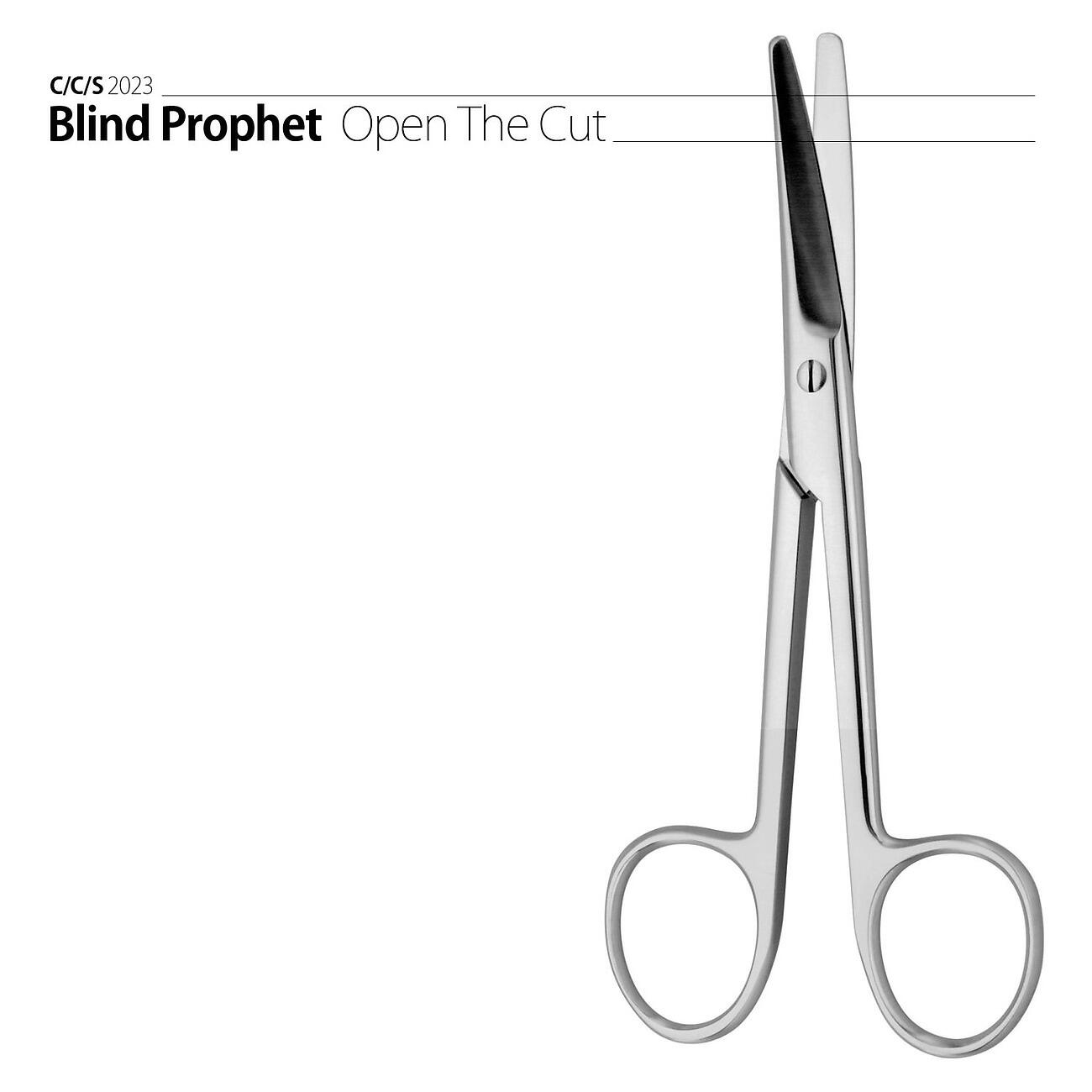 Релиз Blind Prophet