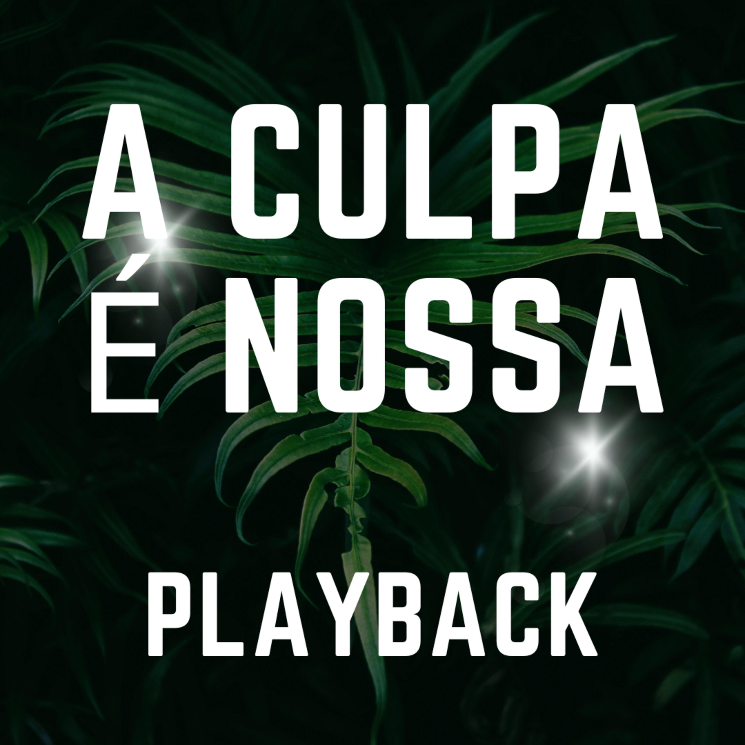 Релиз A Culpa É Nossa