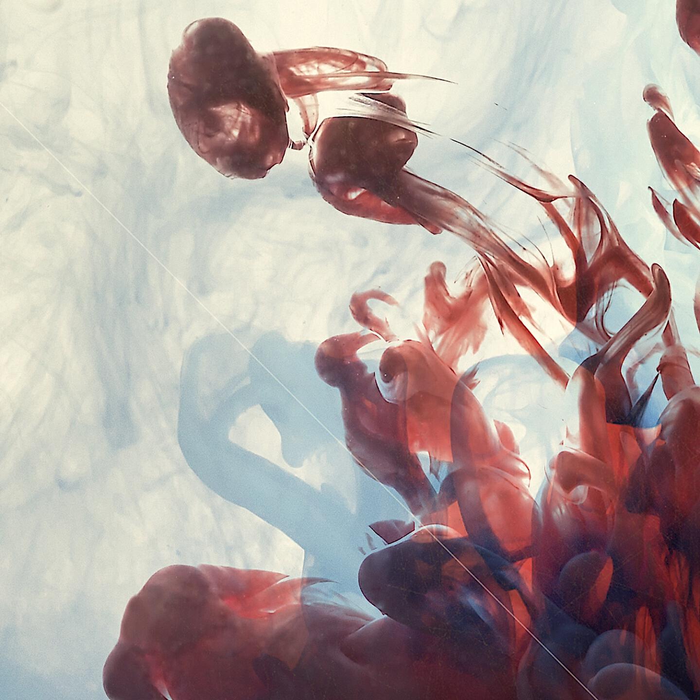 Релиз Riding Where Sunshine