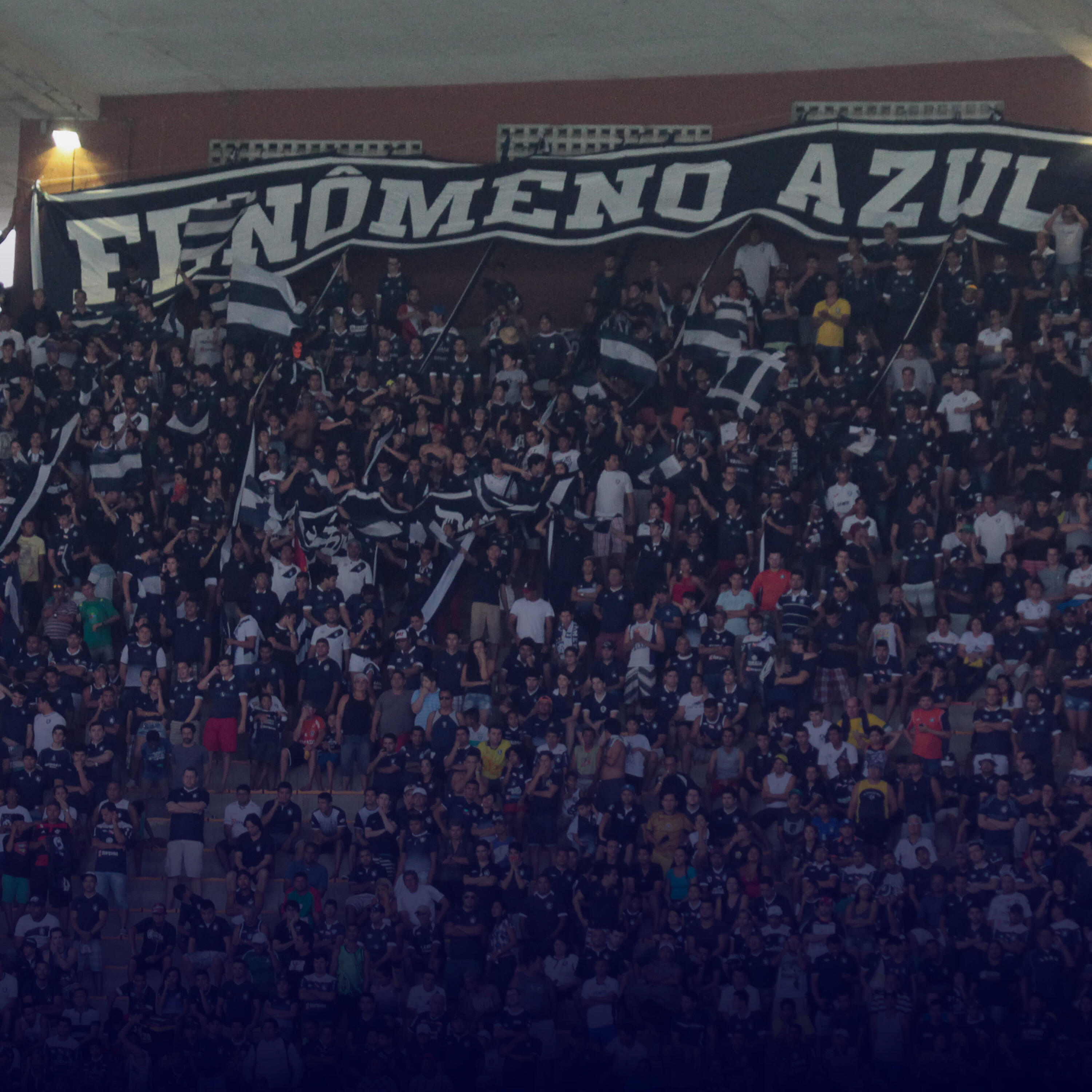 Banda Warilou