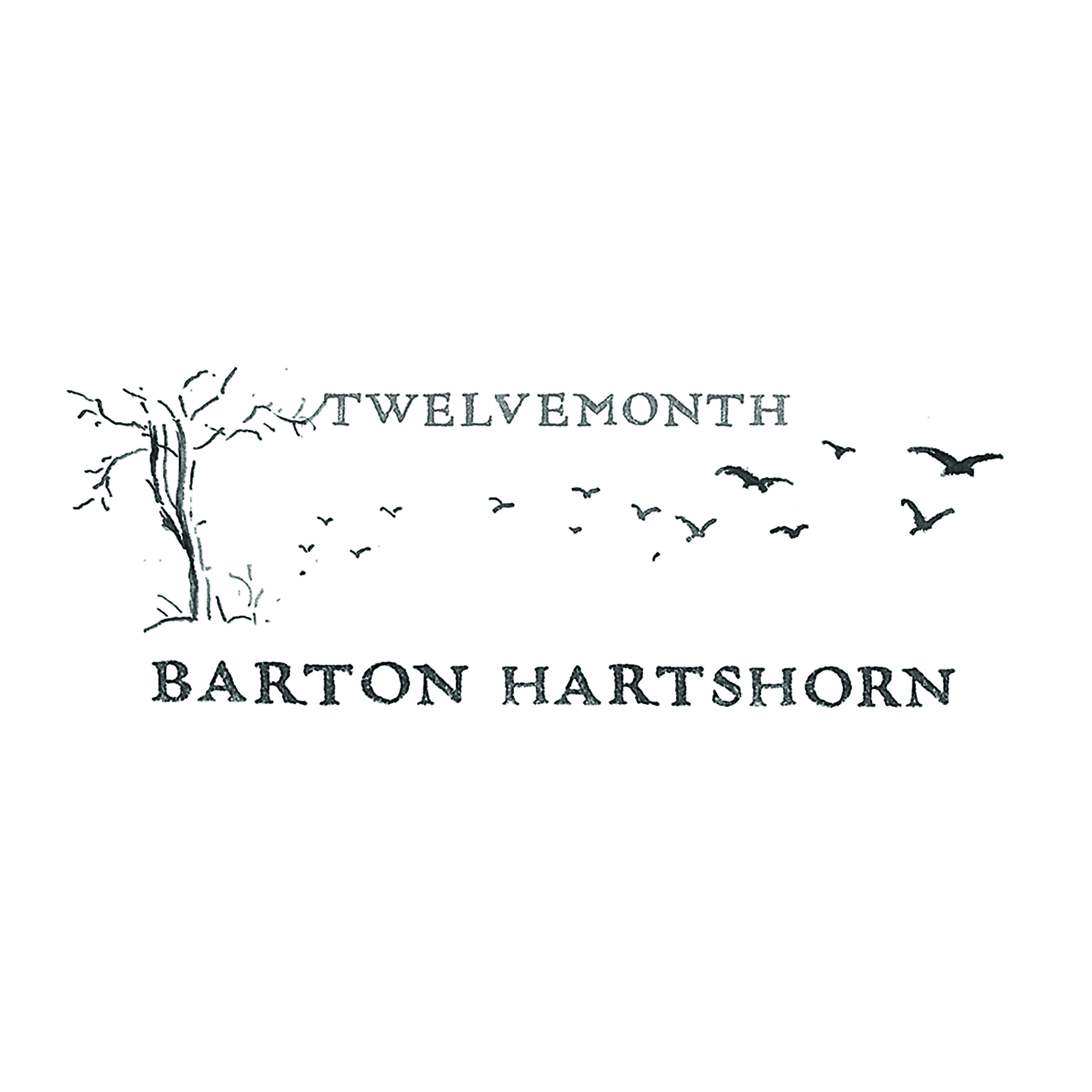 Релиз Twelvemonth