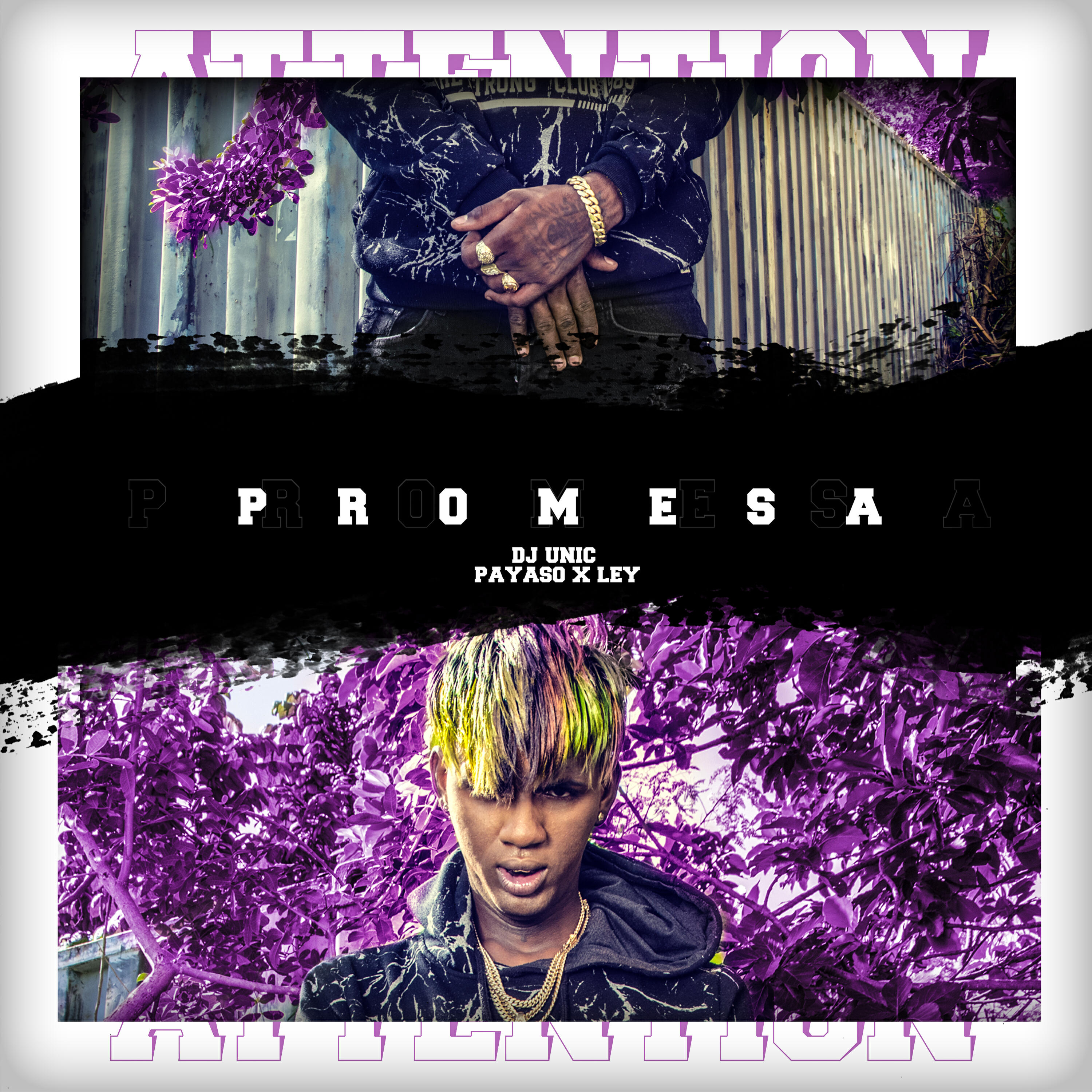 Релиз Promesa