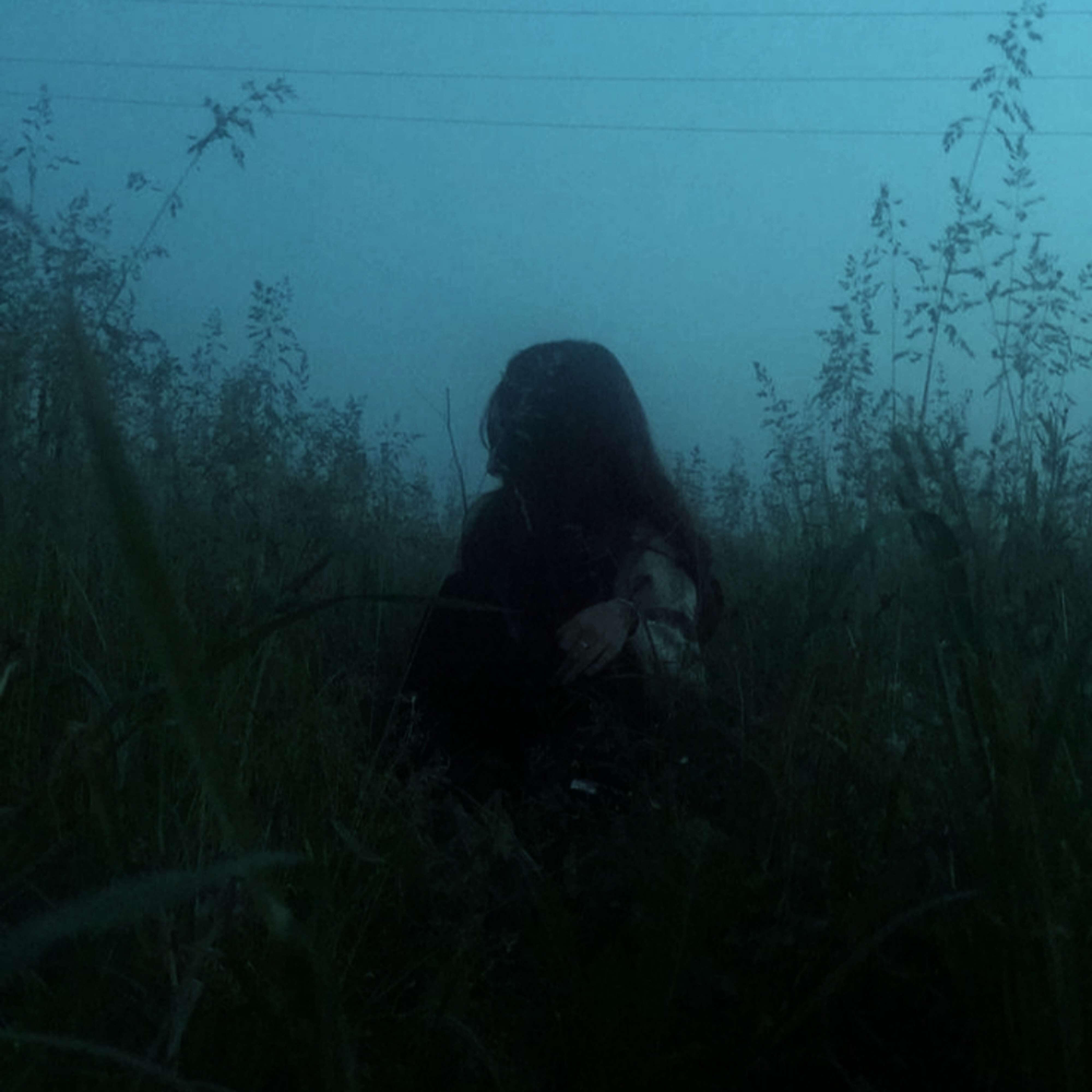 Релиз forgotten dreams