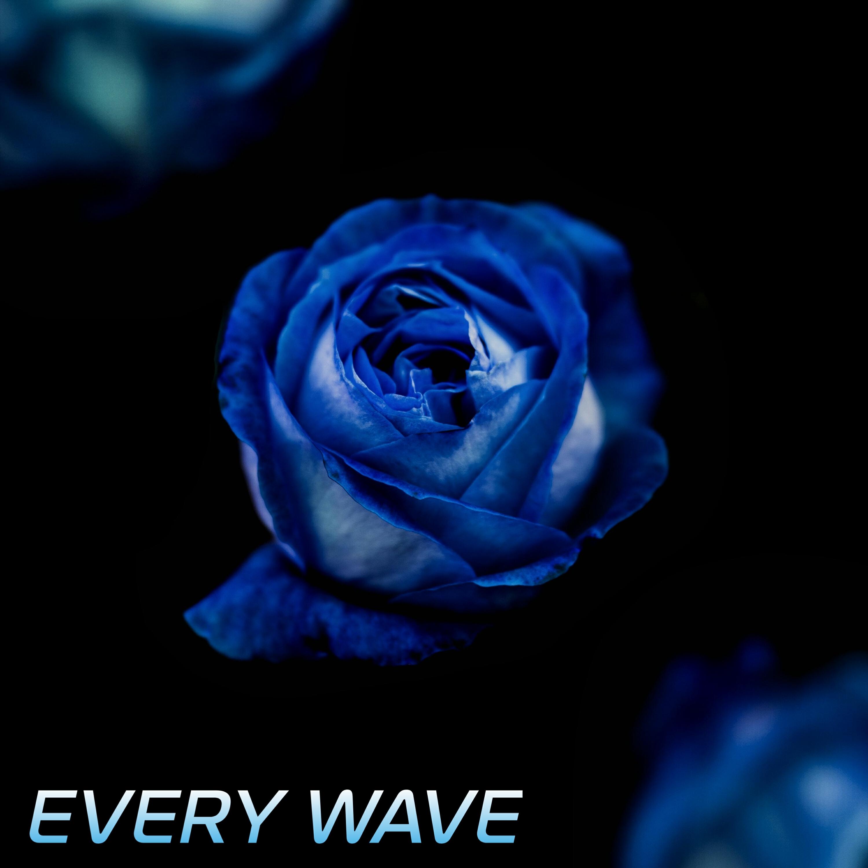 Релиз Every Wave