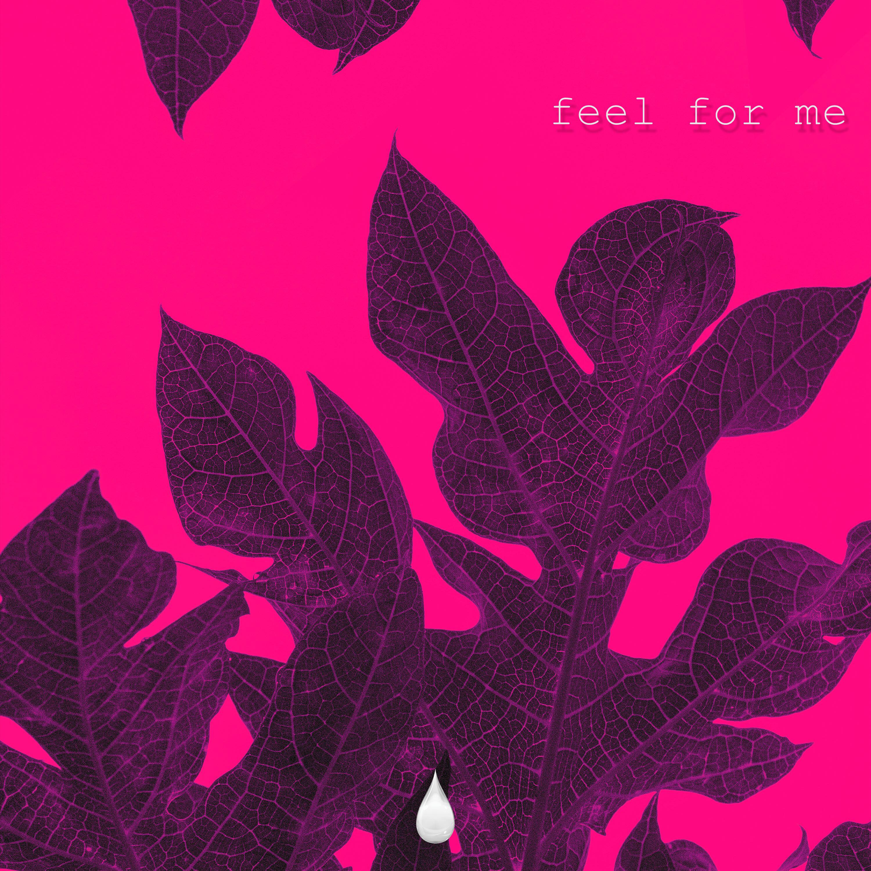 Релиз Feel For Me