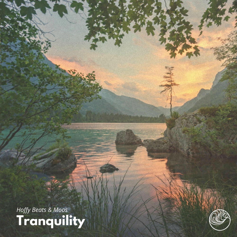 Релиз Tranquility