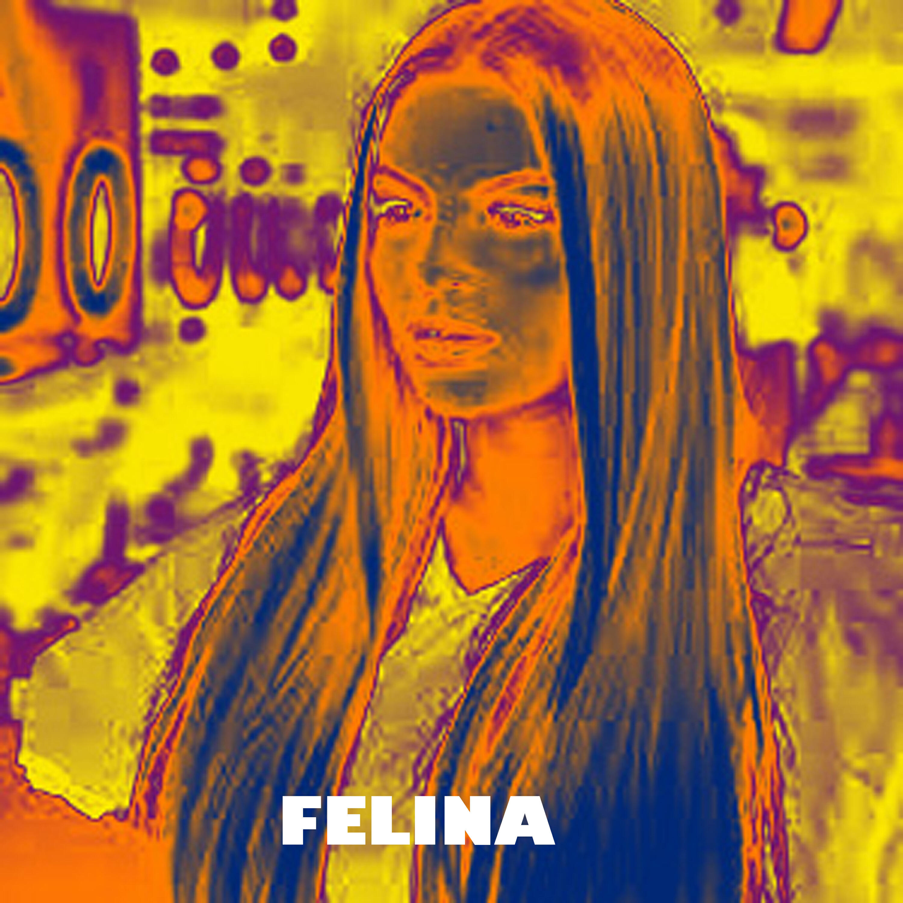 Релиз Felina