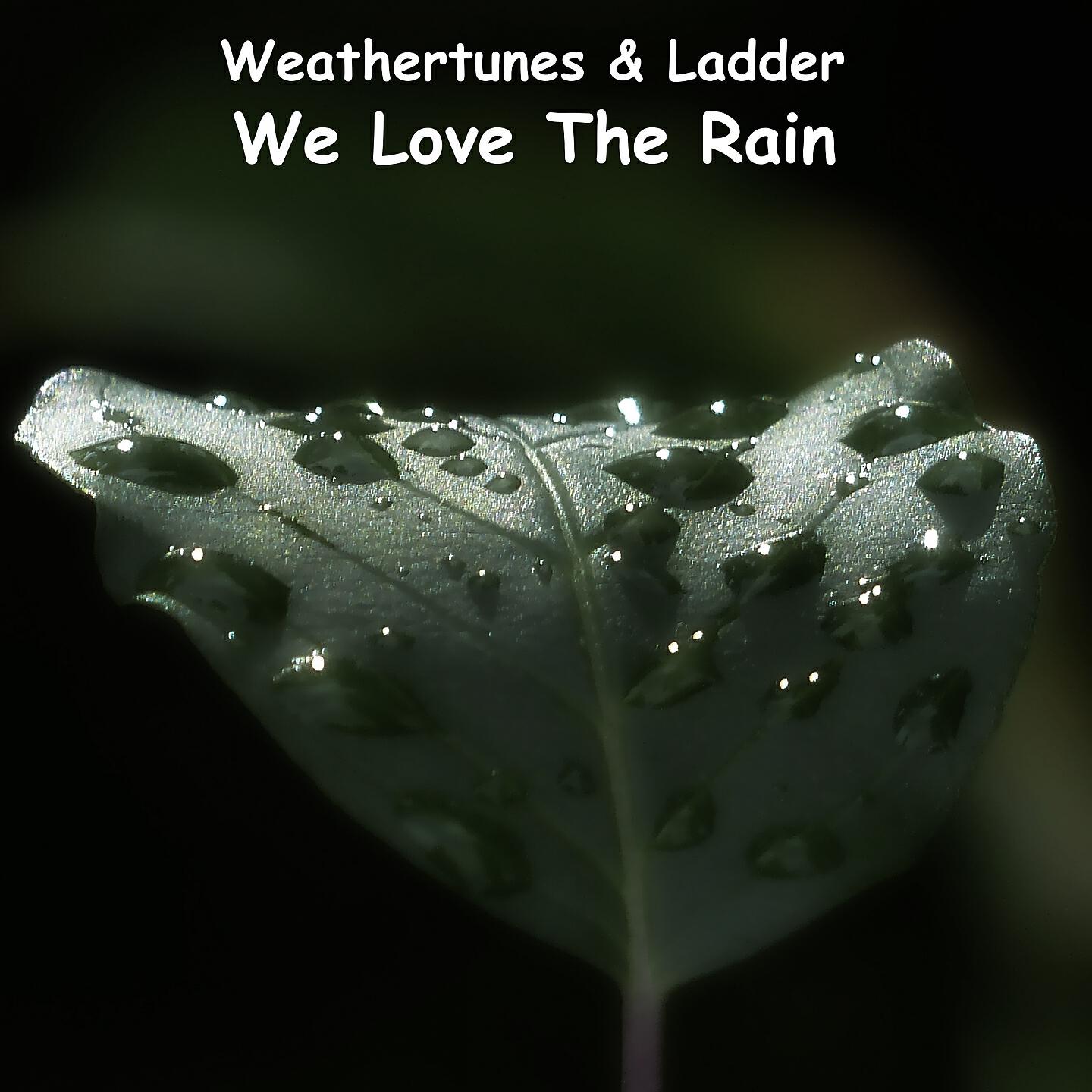 Релиз We Love the Rain