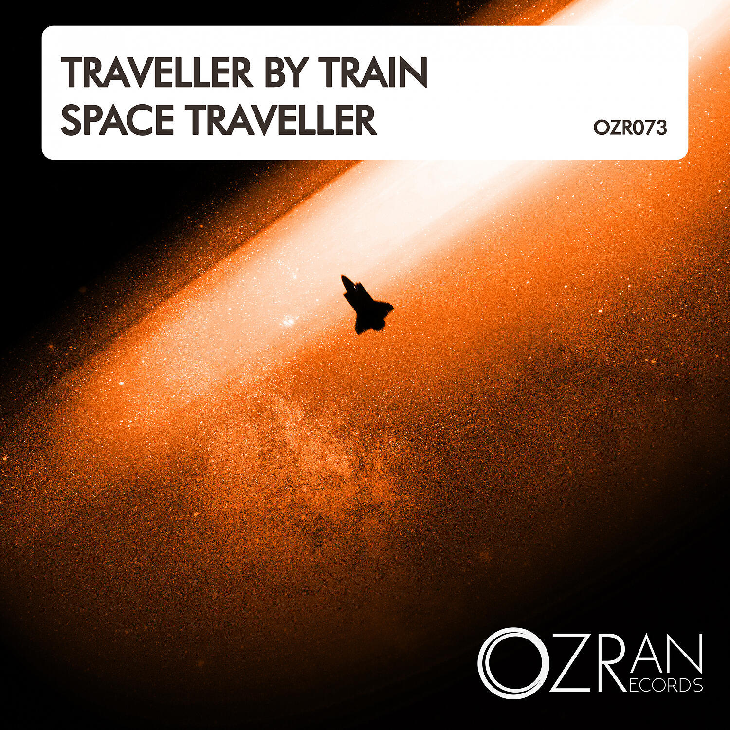 Traveller by Train