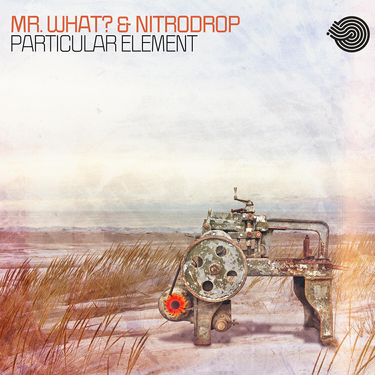Релиз Particular Element