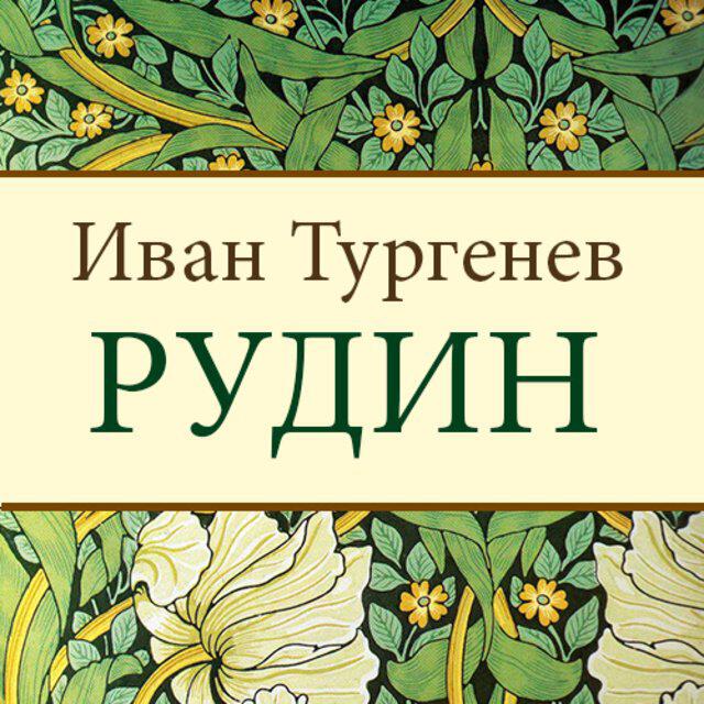 Книга Рудин