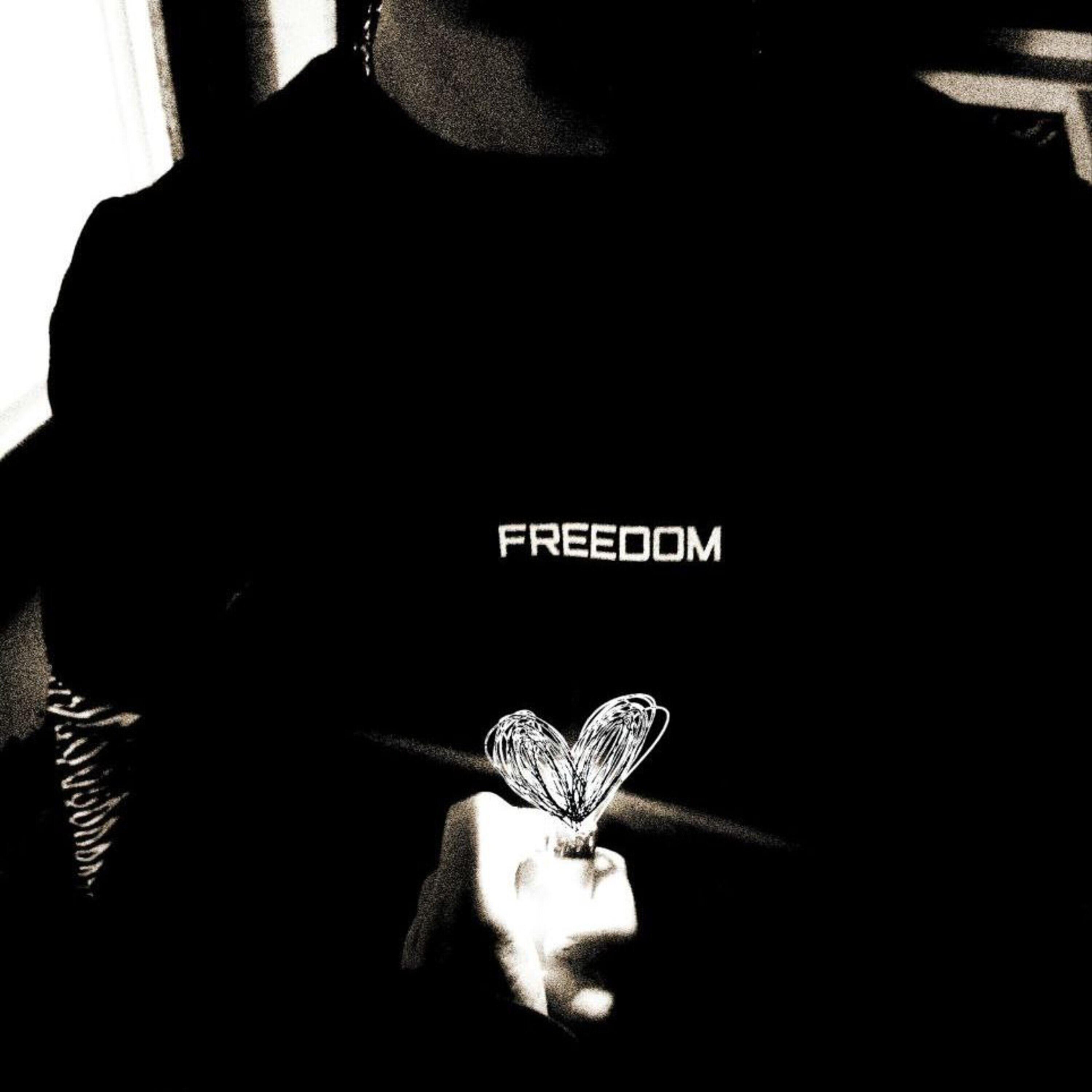 Релиз Freedom