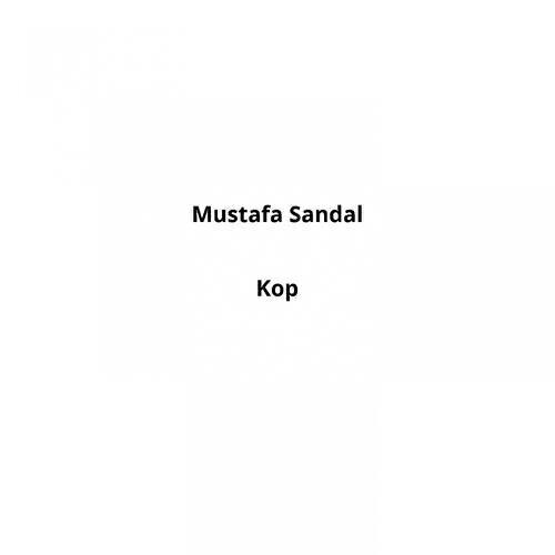 Постер альбома Kop